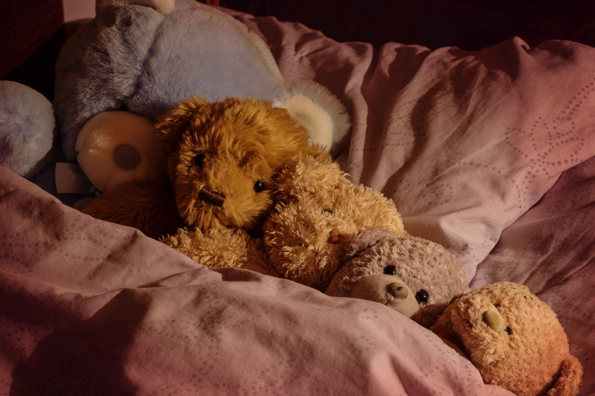 Плюшевые ночи. Плюшевый медведь. Сонный Медвежонок. Игрушки спят. Плюшевый мишка на кровати.