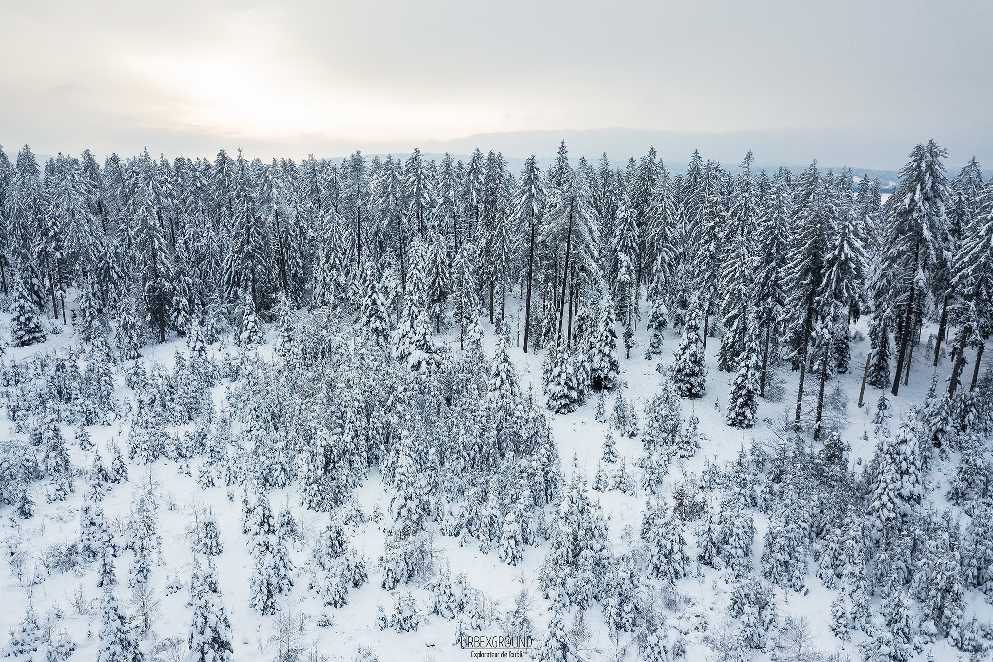 В тайге продолжительная холодная зима. Зимняя Тайга. Зимний лес вид сверху. Лес зимой сверху. Снежный лес сверху.
