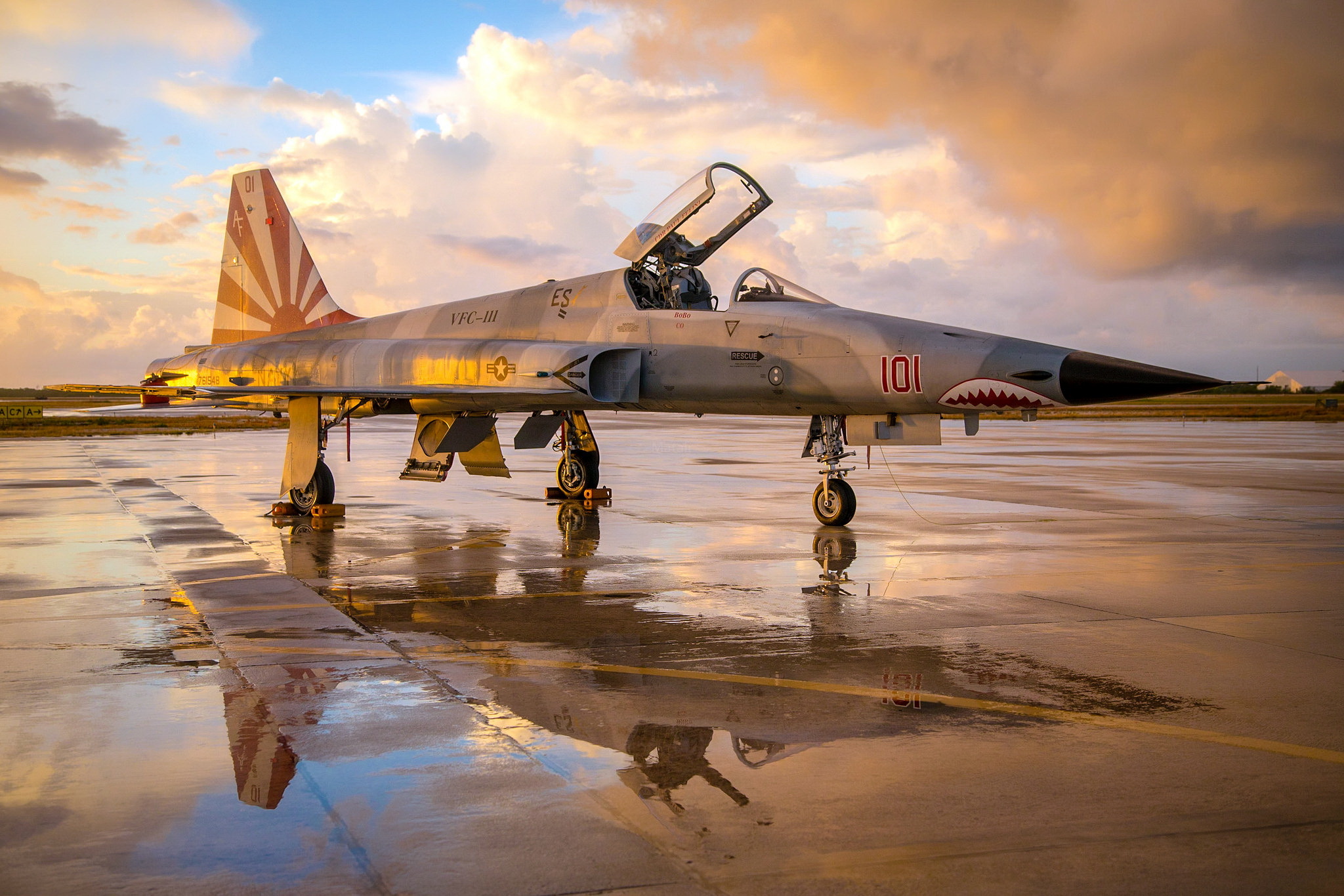 Самолет f 2. F-5 "Тайгер-2. Northrop f-5e Tiger II. Самолет ф-5 Тайгер. F-5 Tiger II "Freedom Fighter".