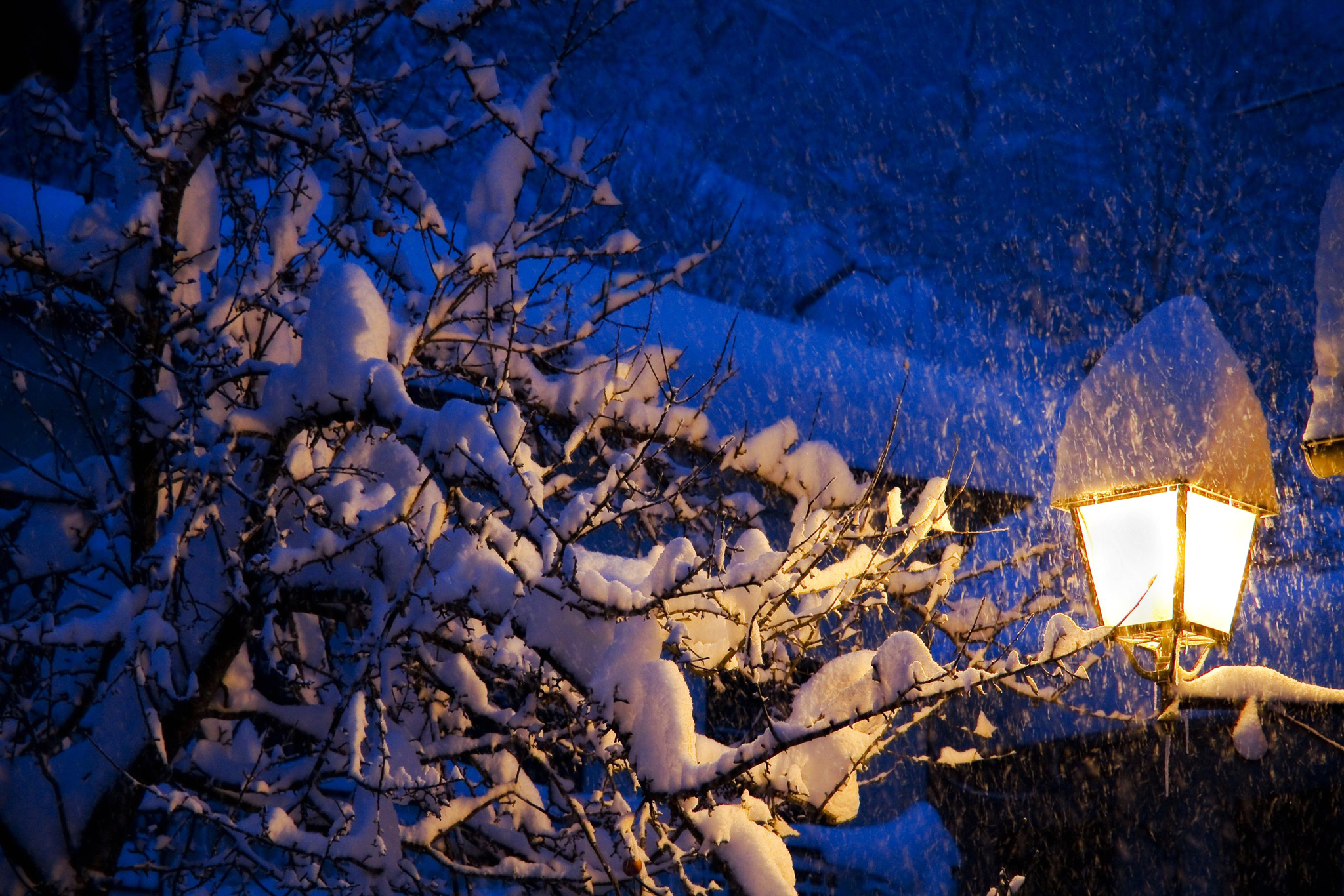 Вечером снежок. Зимний вечер. Зима. К вечеру. Зима ночь. Зимний фонарь.