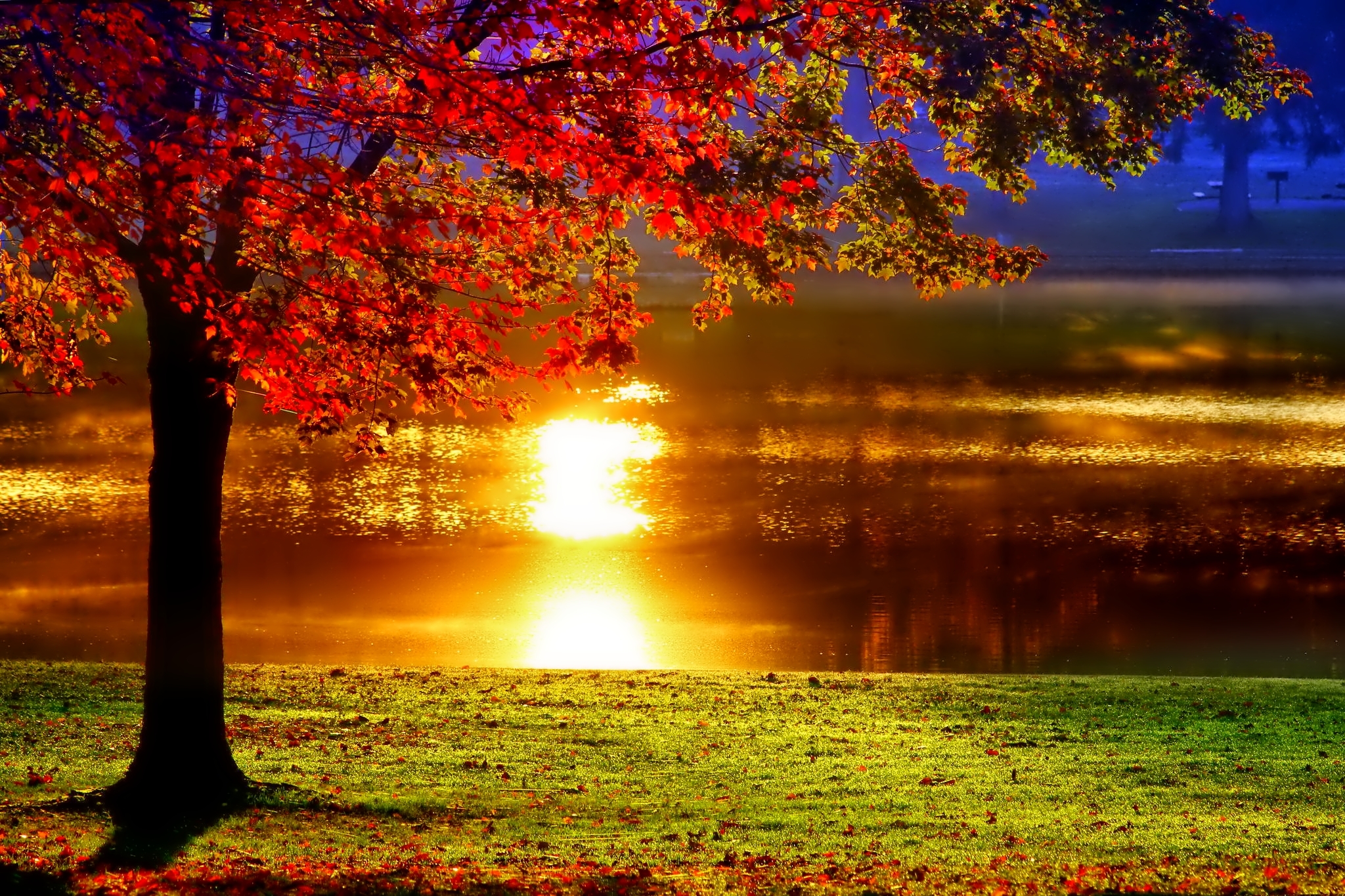 Добрый вечер солнце. Осенний закат. Солнечная осень. Осенний рассвет. Красивая осень.