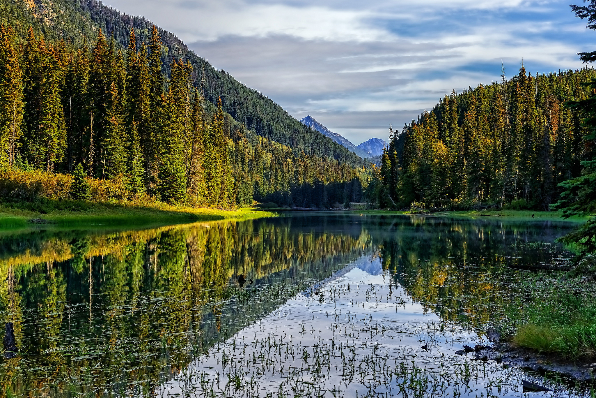 Природа картинки. Озеро Рица. Лесное озеро (Forest Lake). Лесное озеро в Канаде. Лесное (озеро, Северная Америка).