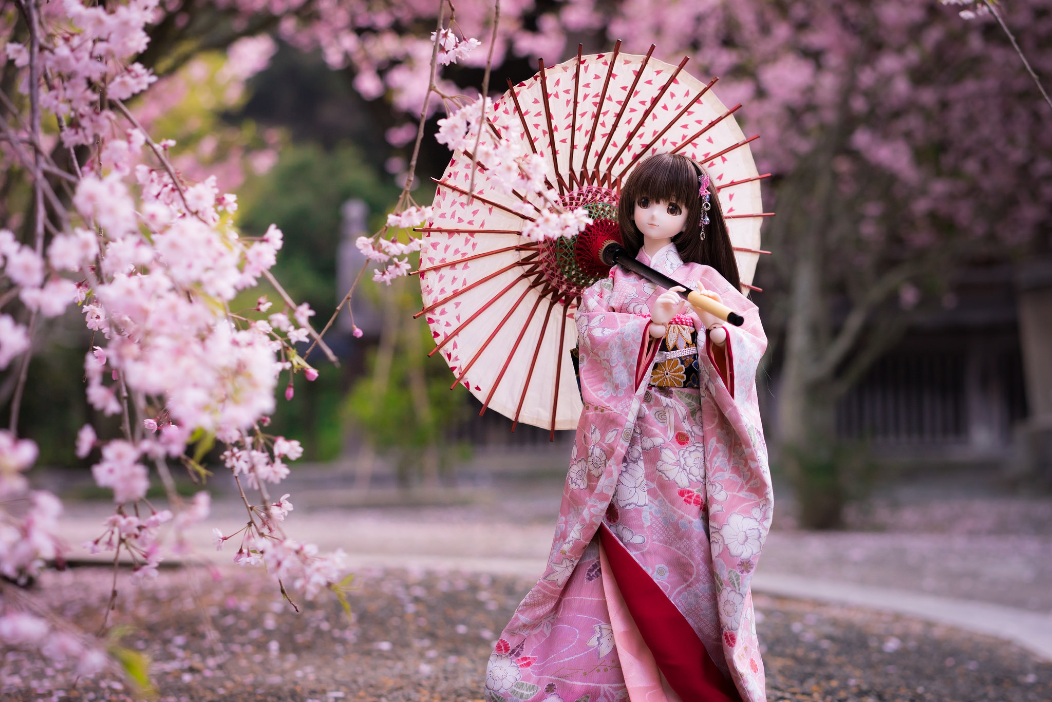 Япония девушки молодая. Сакура в кимоно. Фурисодэ Сакура. Япония кимоно Сакура. Японки Токио юката.