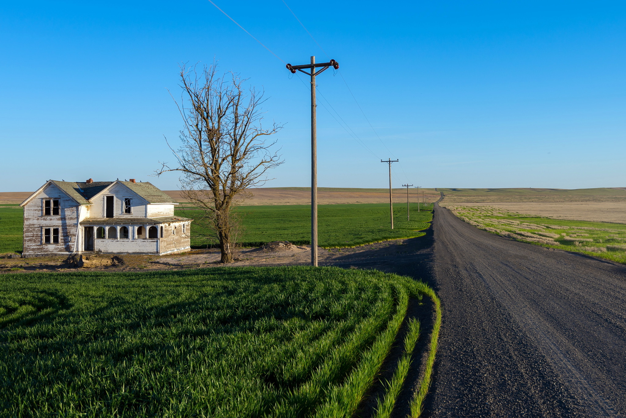 Когда выйдет дом у дороги в россии. Штат Канзас Сельская местность. Американский дом в поле. Частный дом в поле. Дом у трассы.