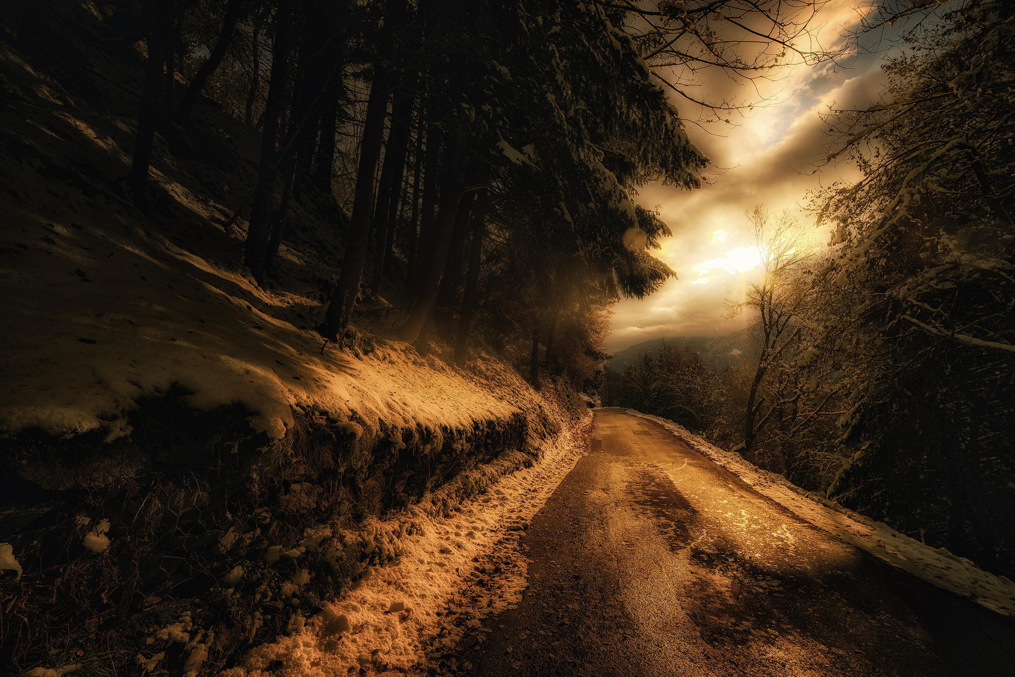 Загадочное рядом. Ночная дорога. Дорога в лесу. Дорога в лесу ночью. Темная дорога.