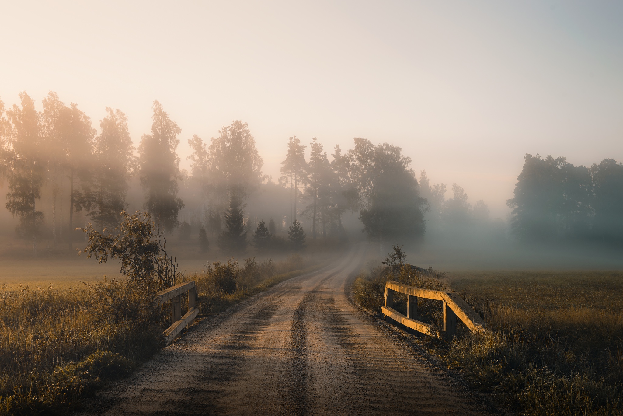 Спокойно ранним утром в глухом. Туманный пейзаж. Дорога в тумане. Дорога в деревню утро. Дорога в тумане утром.