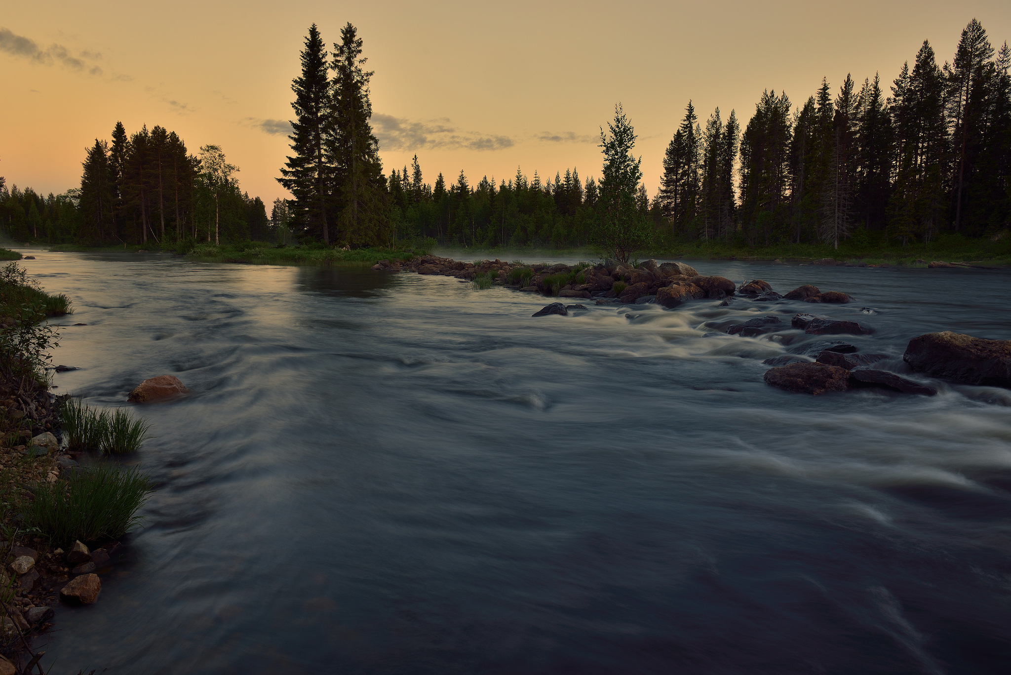 Темная река слушать. Река в лесу. Река фото красивые. Темная река. Река в темном лесу.