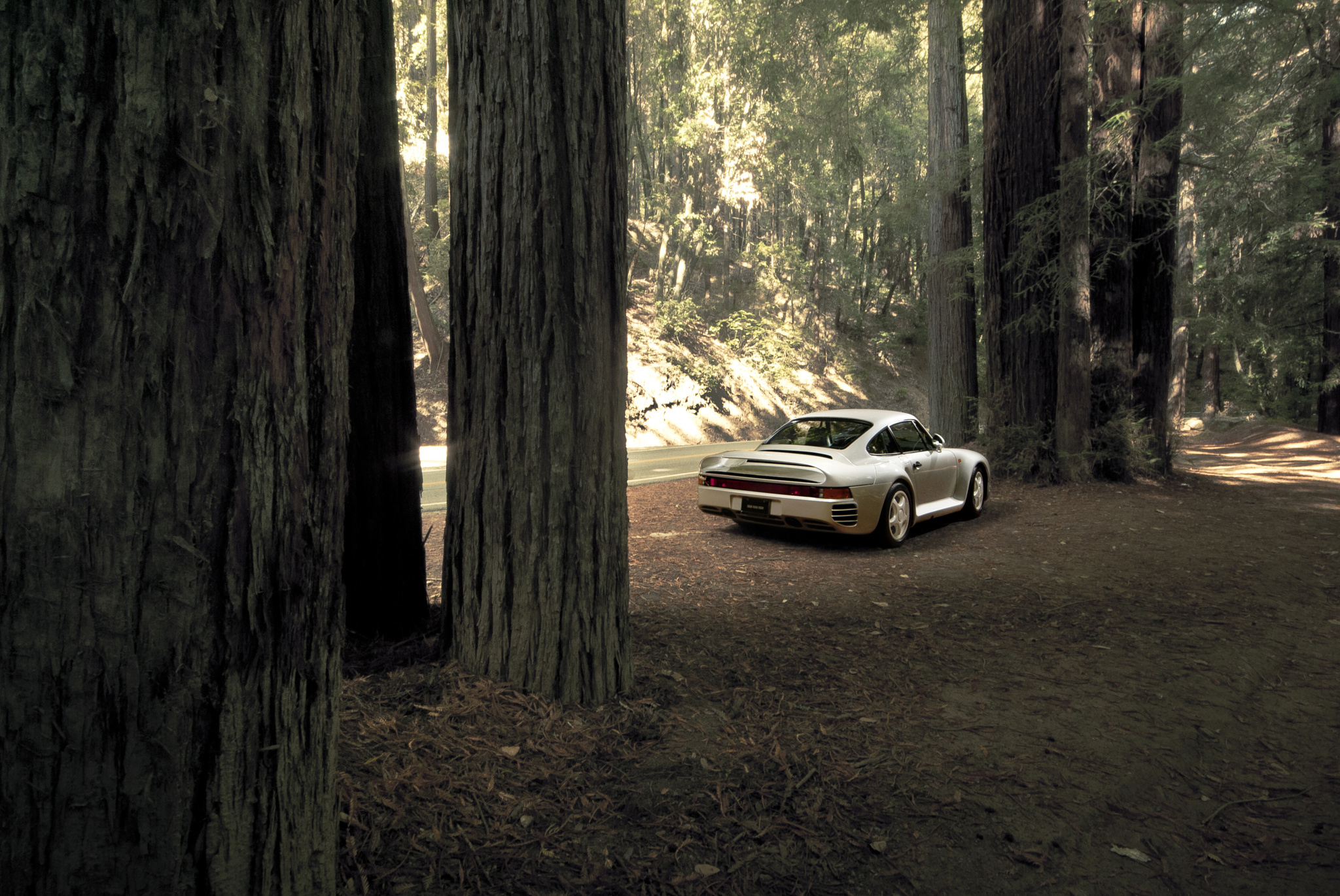 Капот в лесу. Porsche 959 в лесу. Машина в лесу. Машина в темном лесу. Автомобиль в тёмном лесу.