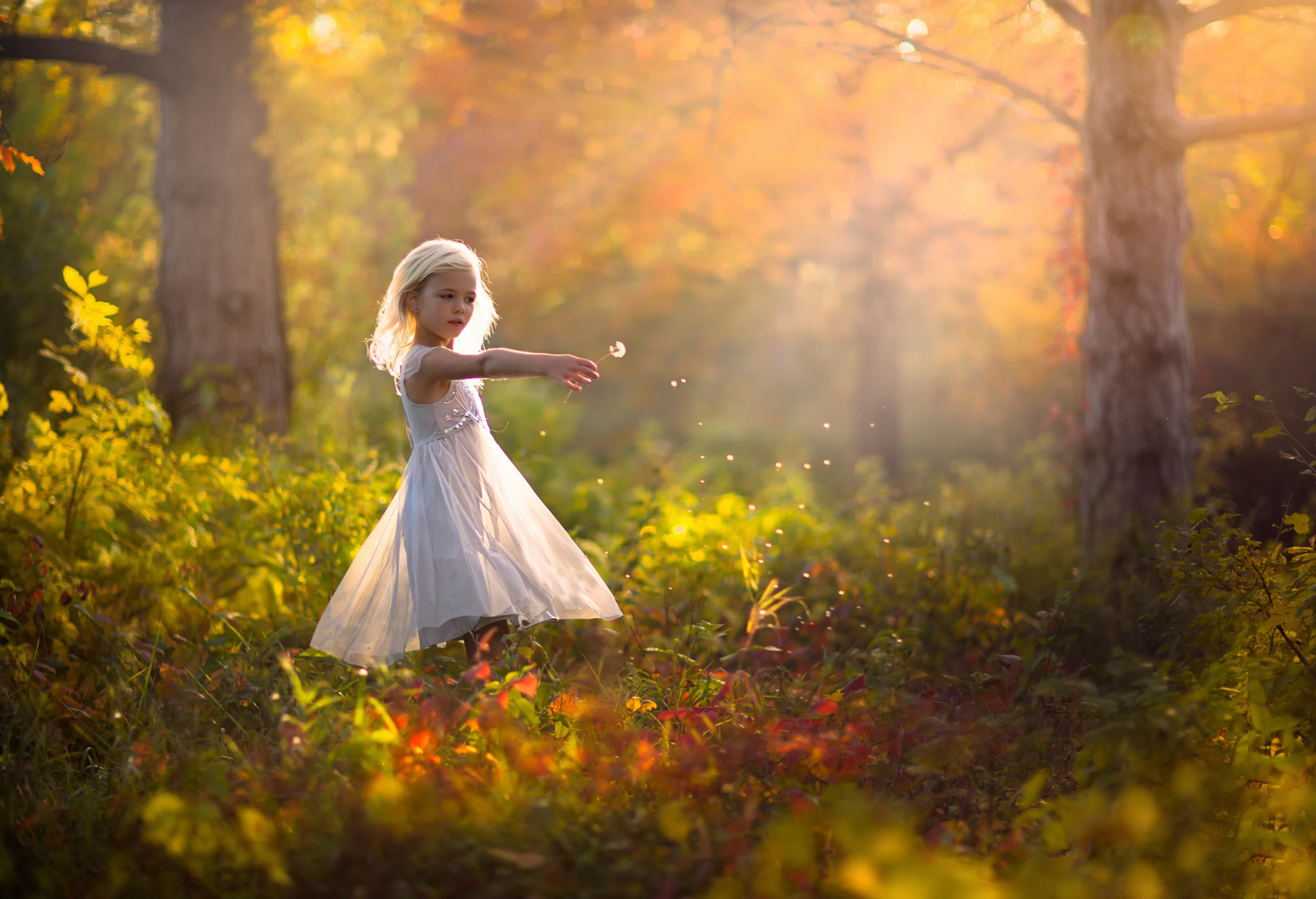 Новый день новые чудеса. Девочка в лесу. Белое платье для девочки. Осень девушка в белом. Девушка танцует в лесу.
