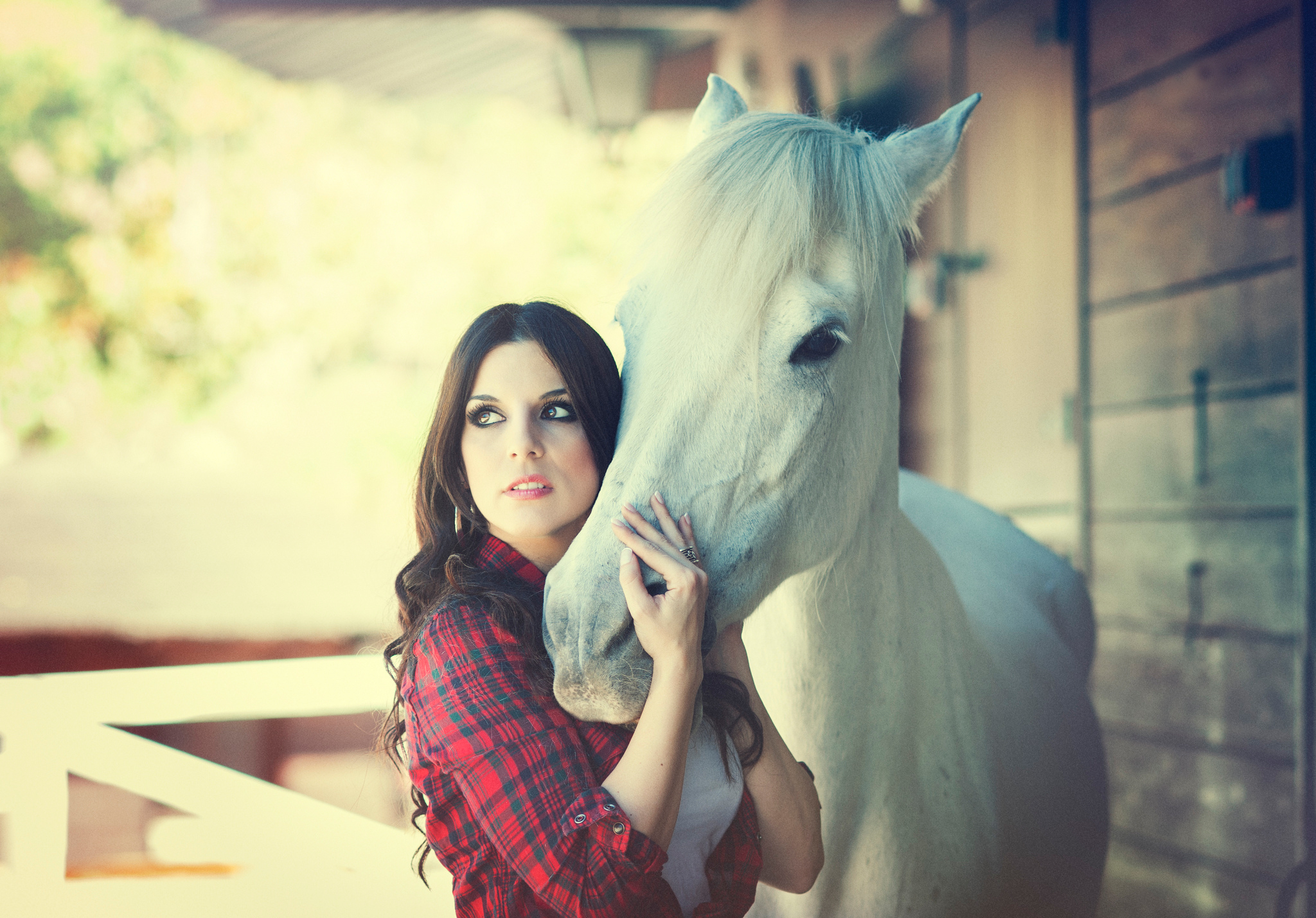 Девки и лошади. Девушка с лошадью. Девушка и белая лошадь. Девушка рядом с лошадью. Девочка на лошади.
