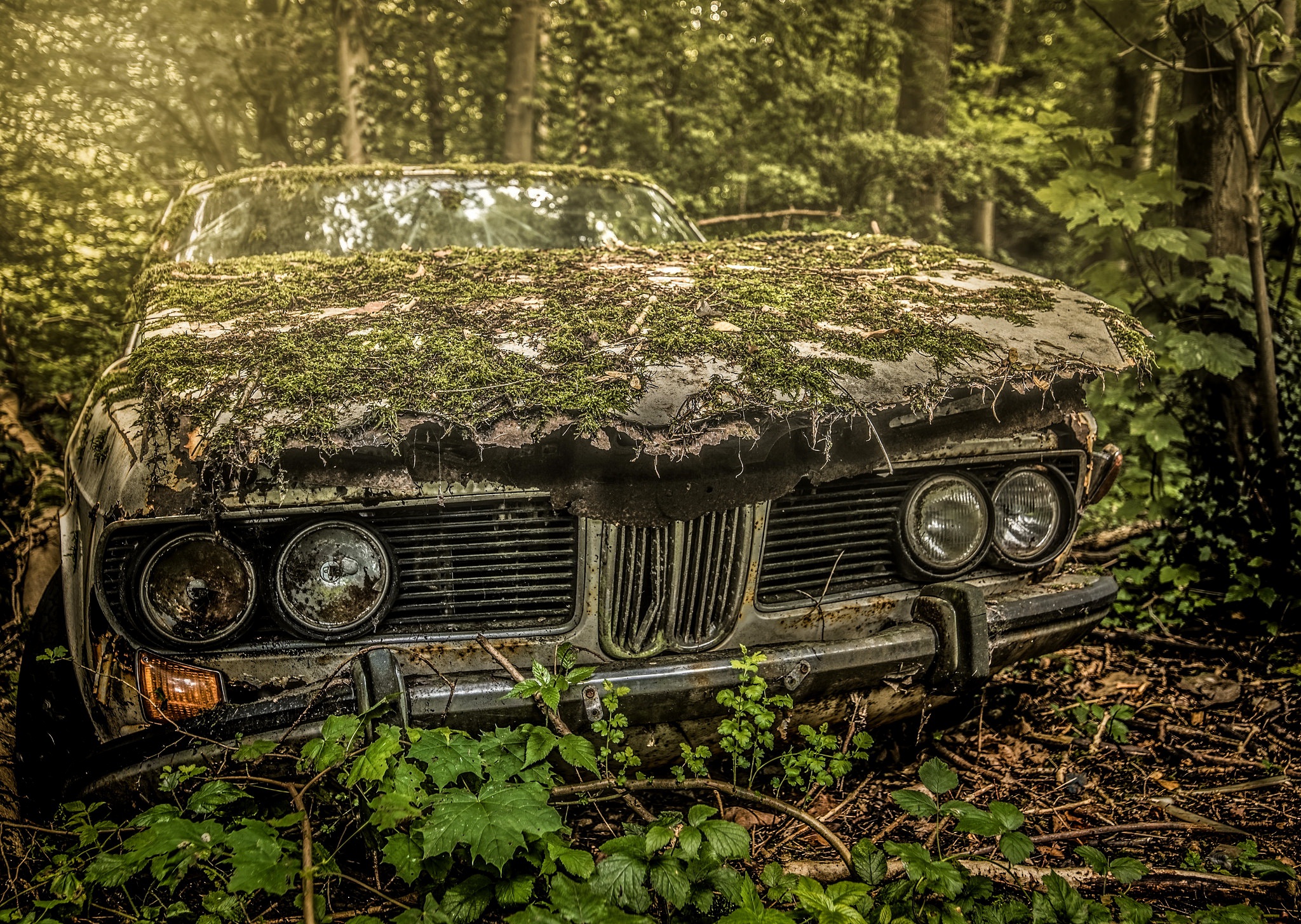 Капот в лесу. Заброшенные автомобили. Старые машины. Старые заброшенные машины. Машина в лесу.