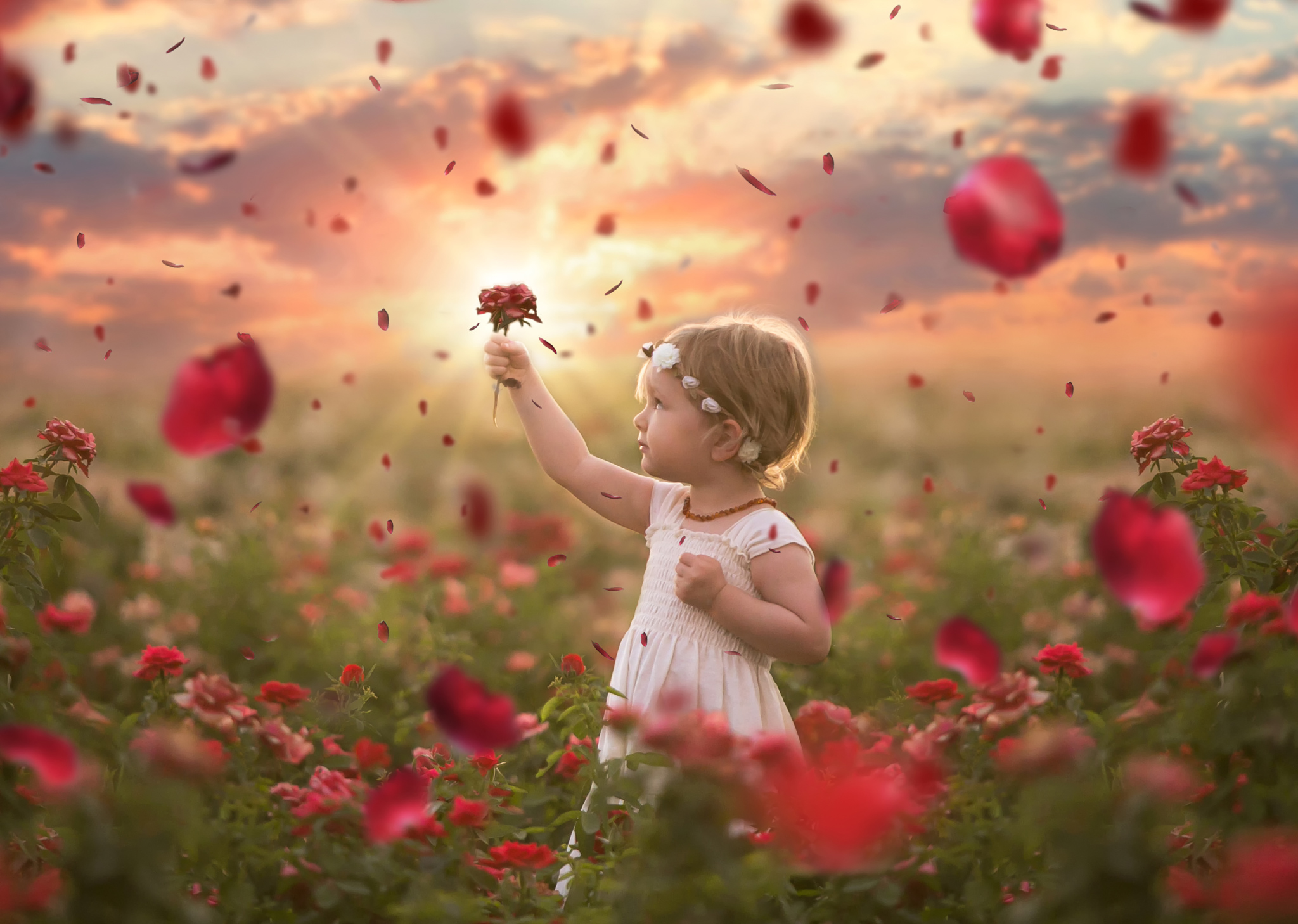 Добро картинки красивые. Прекрасное детство. Доброта радость. Цветы для девочки. Ребенок с цветком в руках.