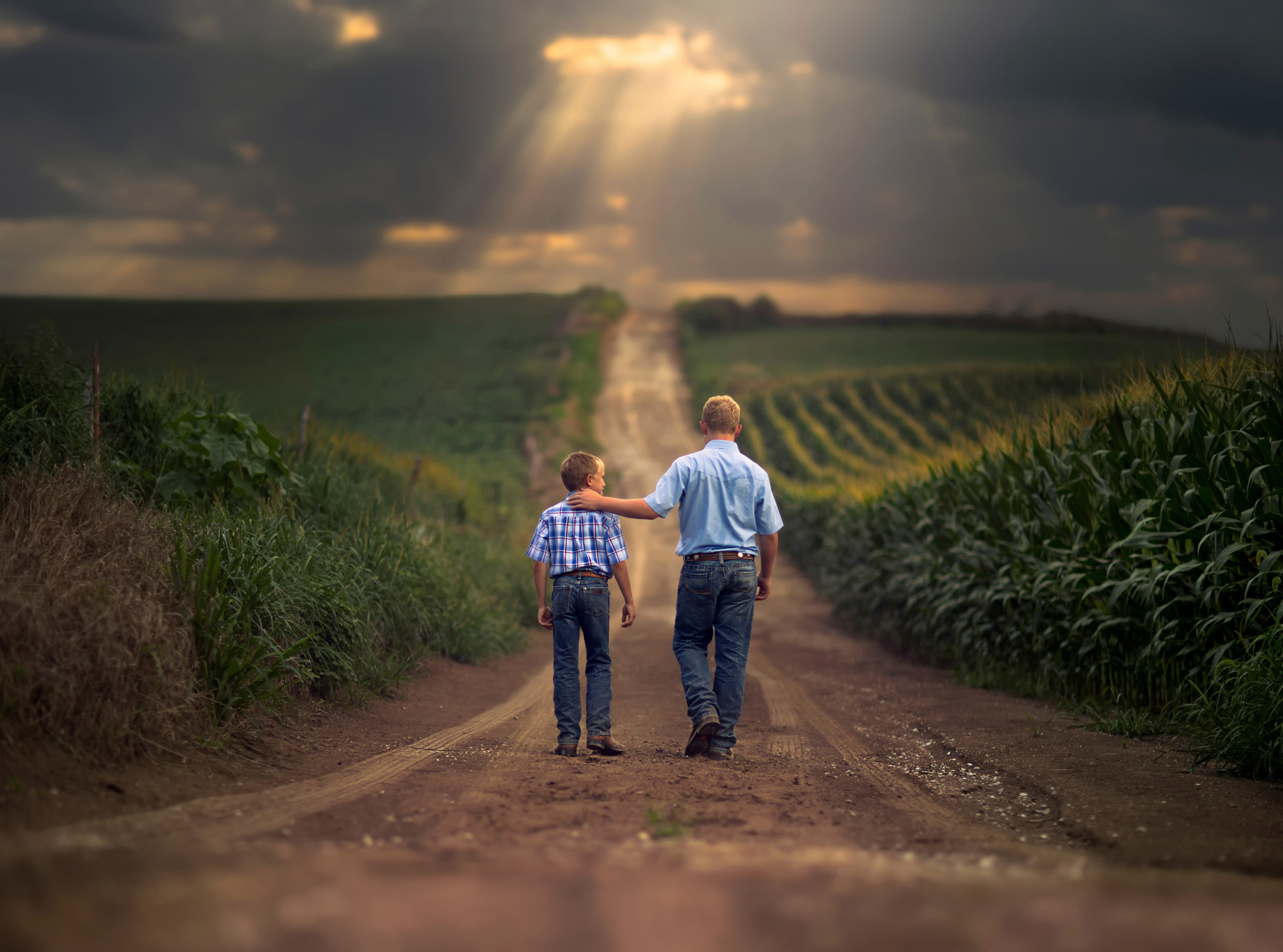 Человек смотрит в поле. Мальчик в поле. Отец и сын идут по дороге. Два мальчика в поле. Семейная фотосессия на дороге.
