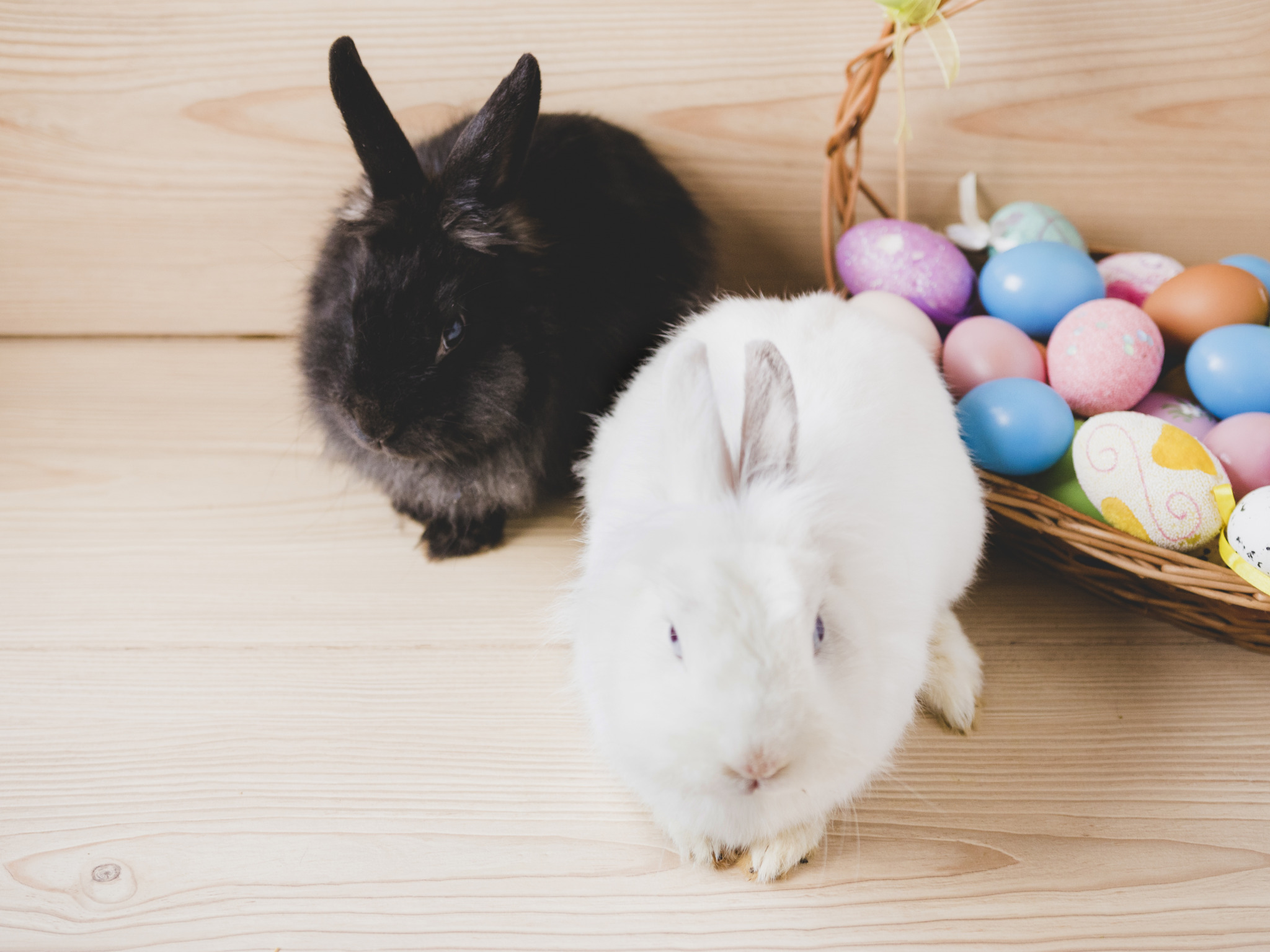 Почему кролики на пасху. Пасхальный кролик. Пасха кролик. Кролик с яйцами на Пасху. Красивые пасхальные кролики.