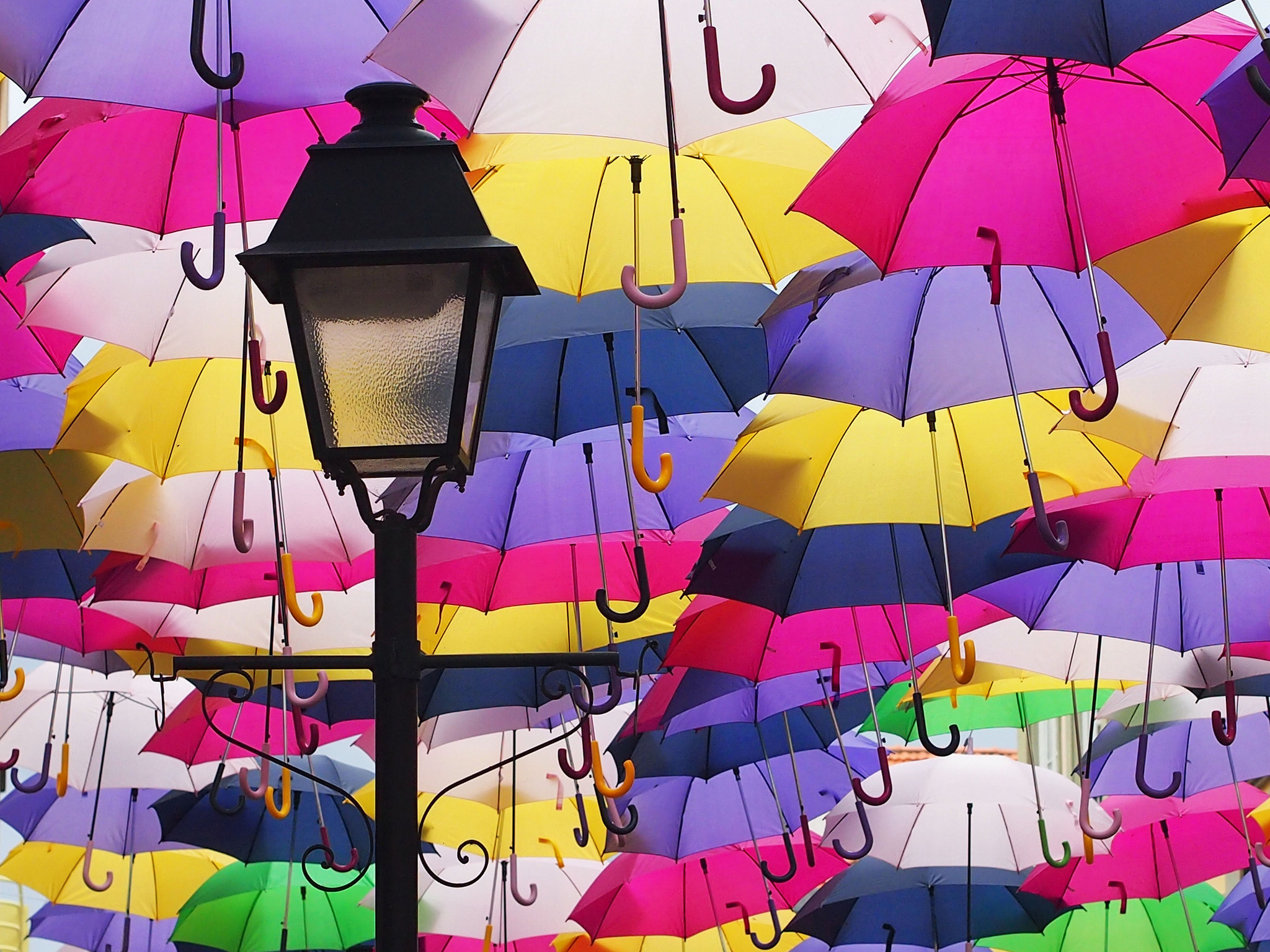 Веселые зонтики. Улица парящих зонтиков, Агеда, Португалия. Разноцветные зонтики. Разноцветный зонт. Зонтики яркие.