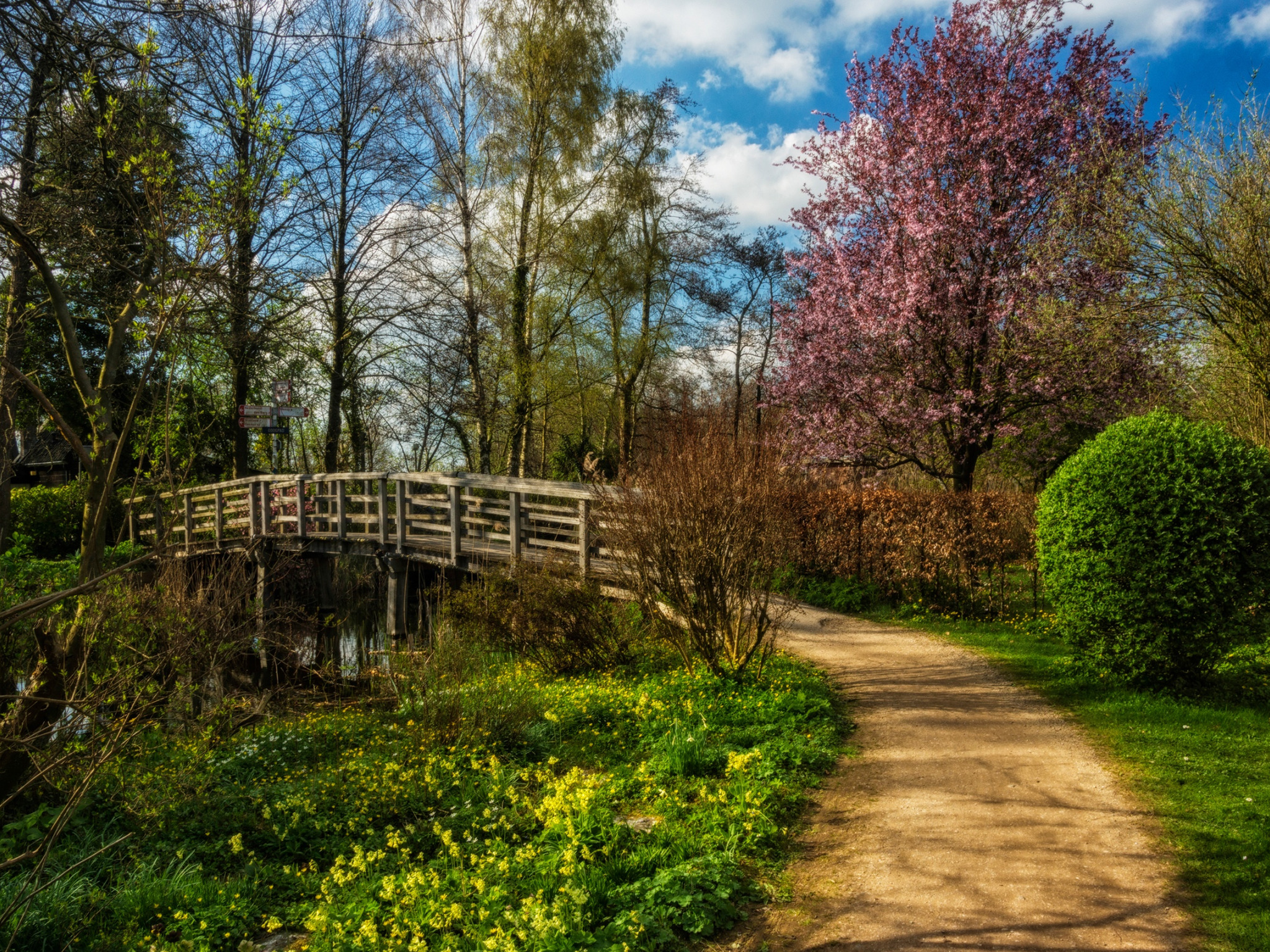 небо, трава, солнце, облака, деревья, мост, весна, дорожка