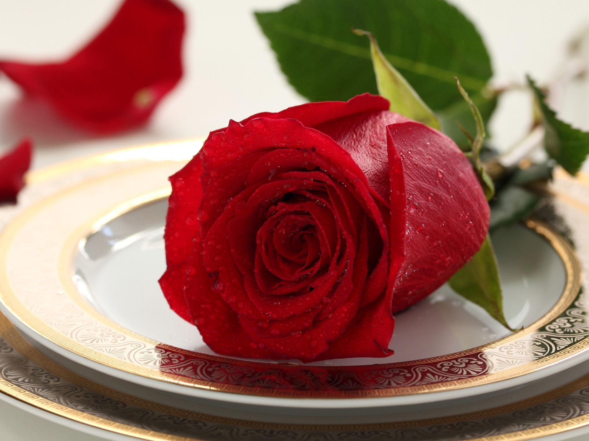 Красная утра 5 букв. Красные розы на столе. Доброе утро розы. Доброе утро цветы с надписью. С добрым утром розы.