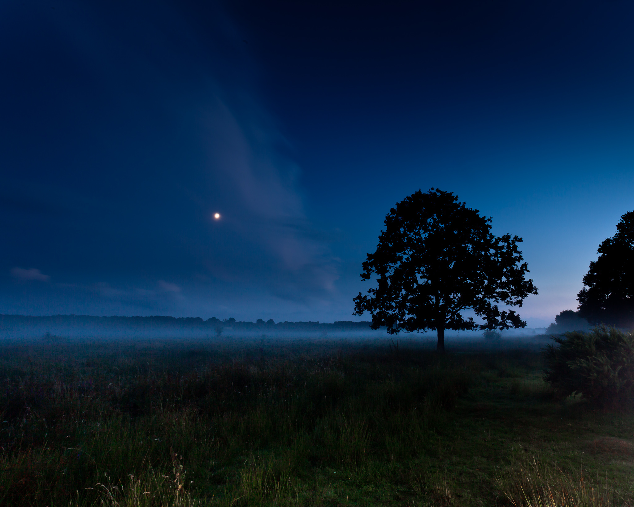 Summer night. Ночная природа. Ночное поле. Летняя ночь. Ночной пейзаж.