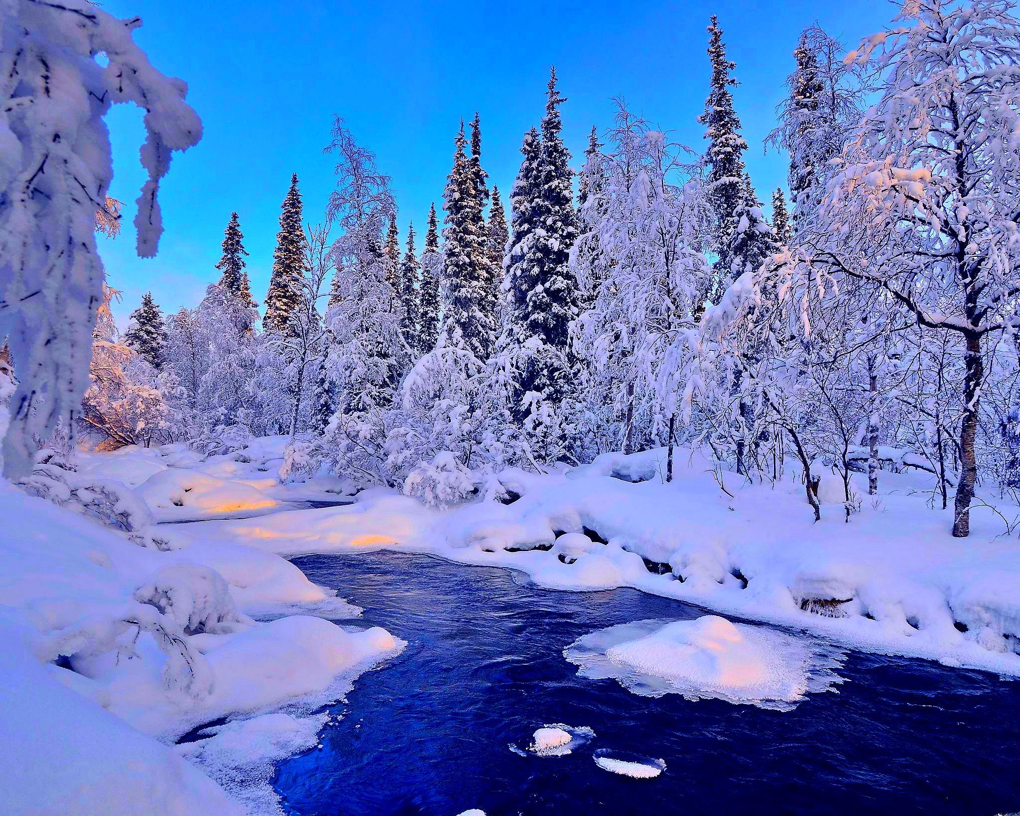 Снежная красота. Красивая зима. Красивые пейзажи зимы. Зимние обои. Зимняя тематика.