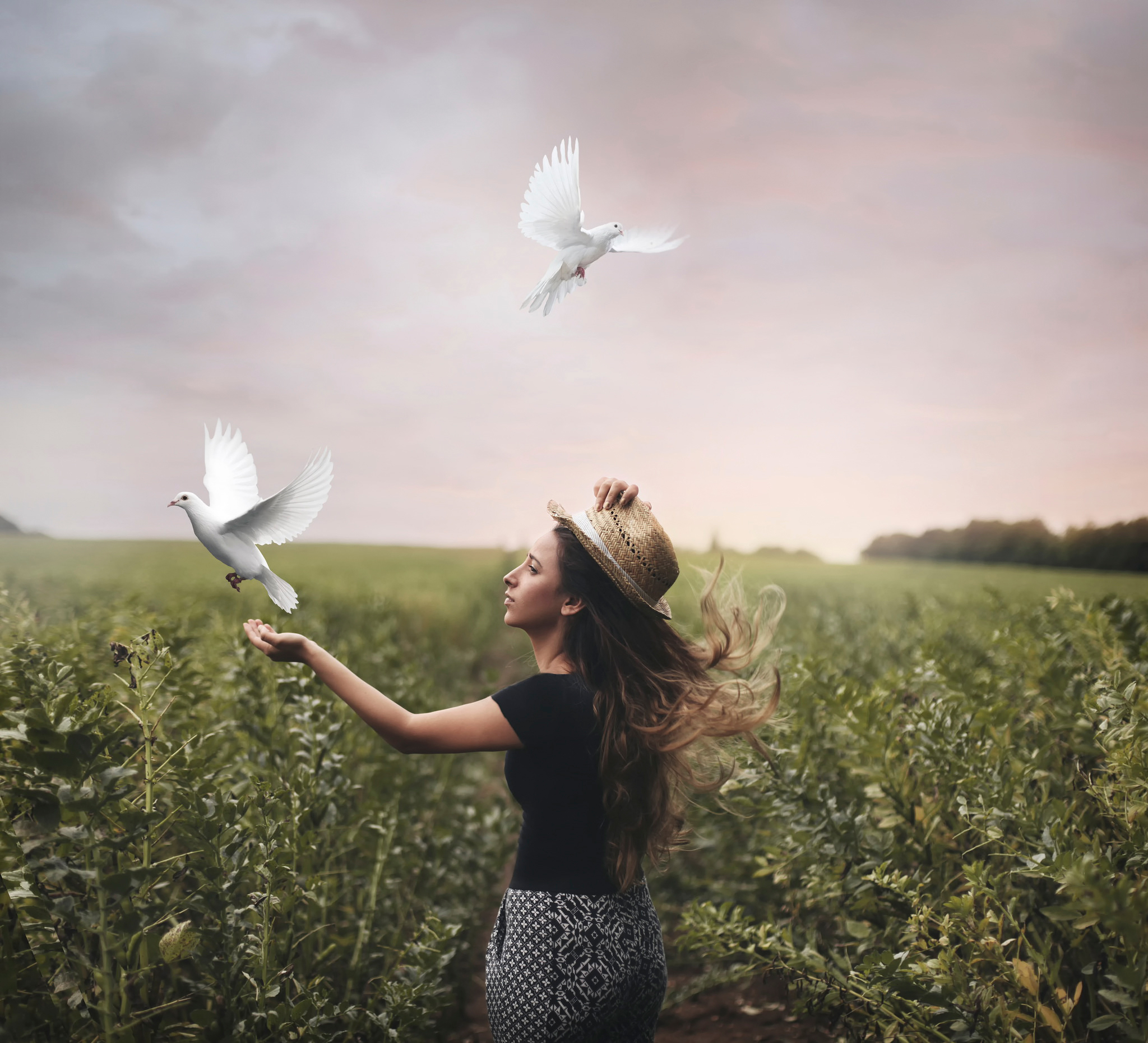 Крае быть свободным. Птица свободы. Девушка выпускает птицу. Человек птица. Девушка с голубем в руках.