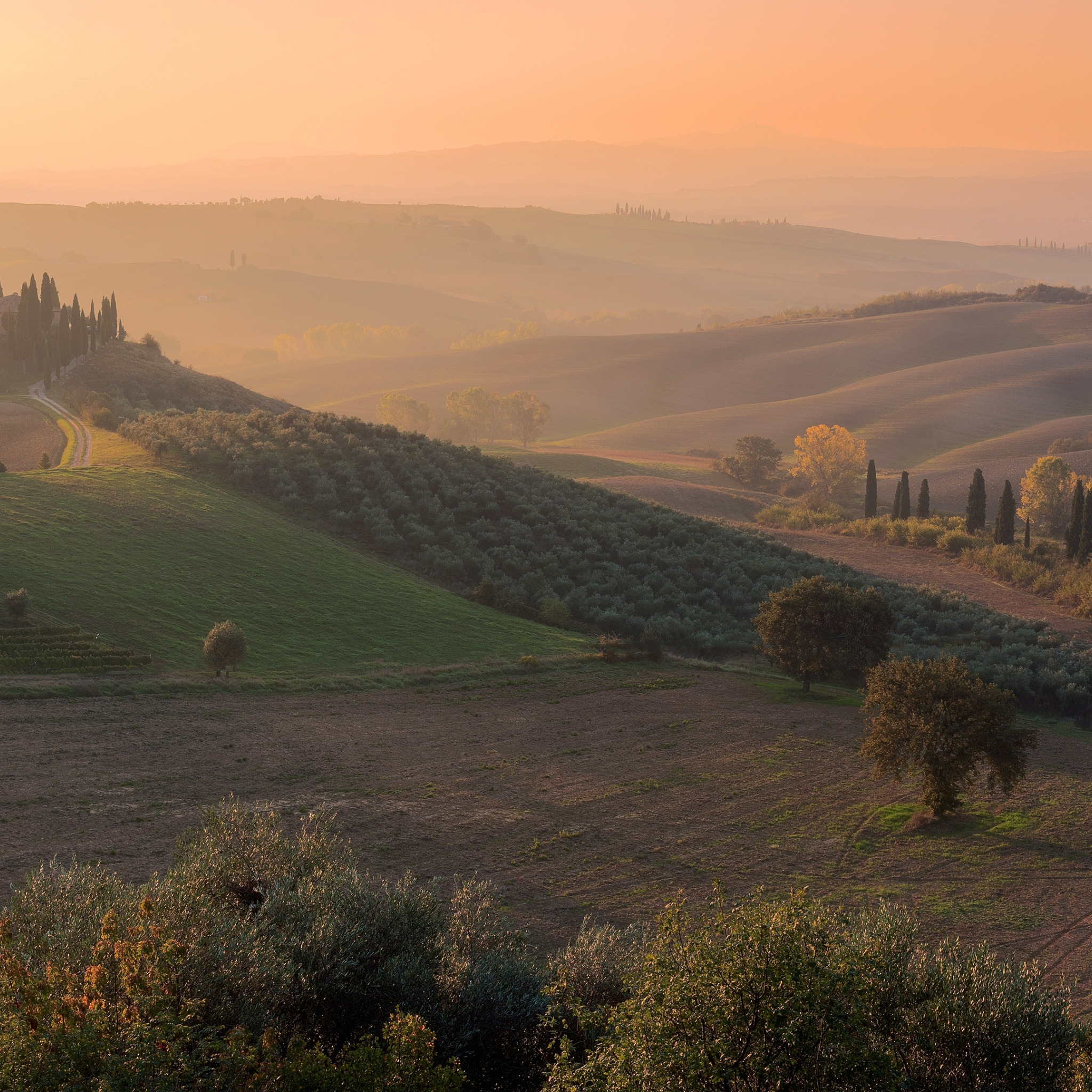 Холмы туман. Italy morning Долина Тоскана. Карачаровский хребет Тоскана. Тоскана Владикавказ. Оренбургская Тоскана.