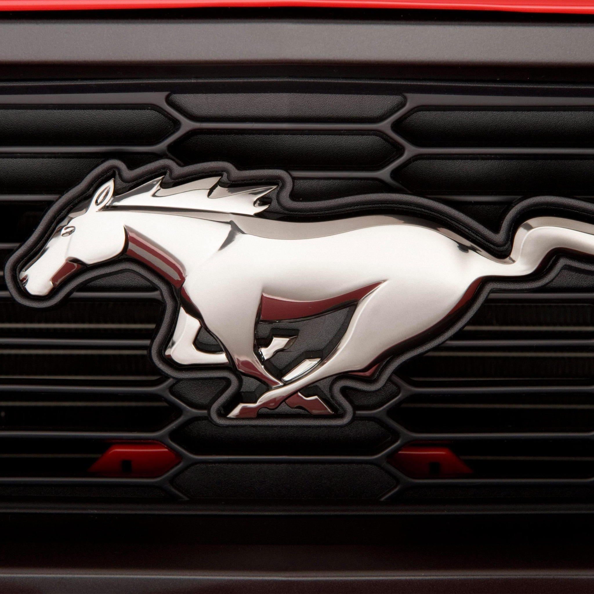 Марка мустанга. Ford Mustang марка. Шильд Форд Мустанг. Форд Мустанг эмблема. Знак машины Форд Мустанг.