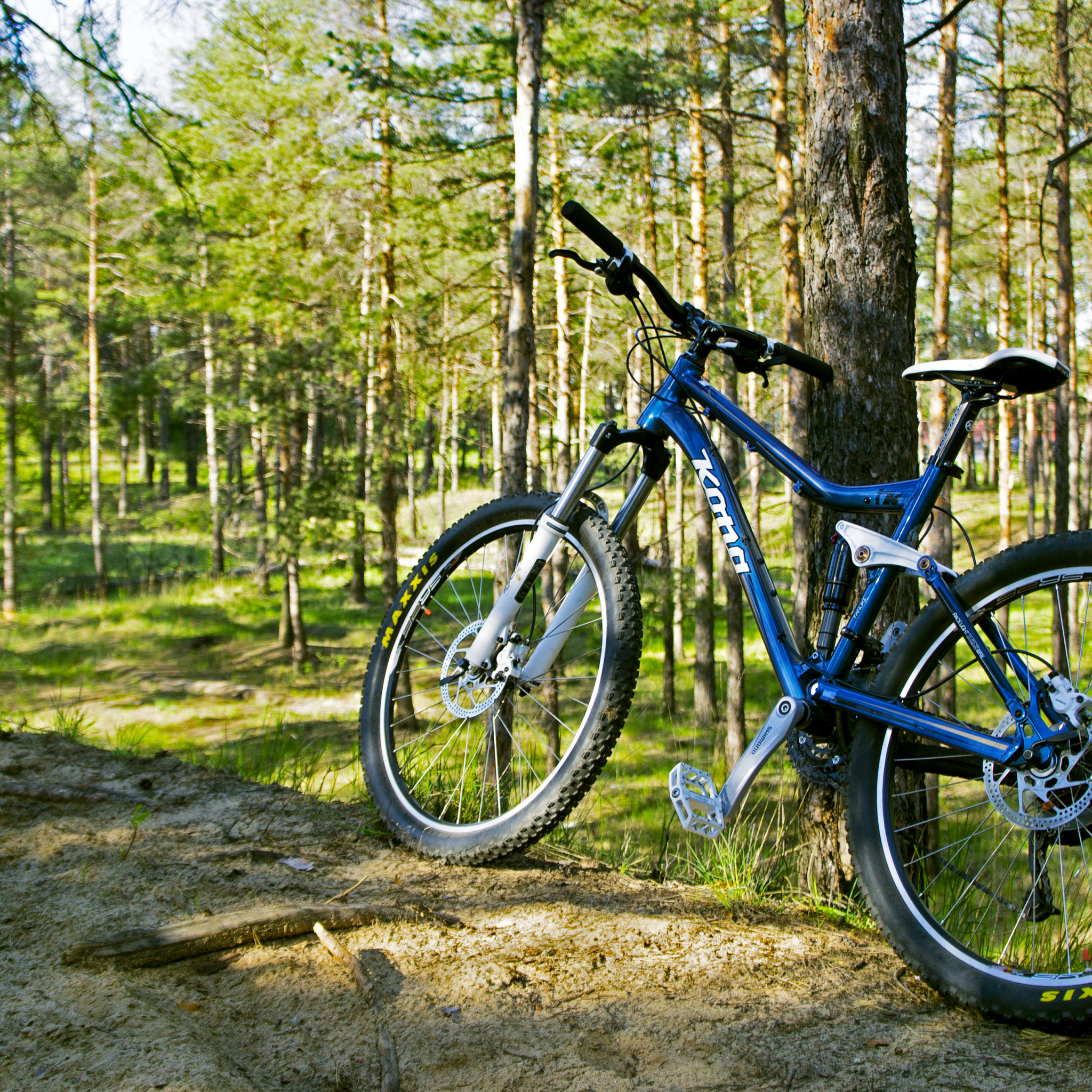 Лес велосипедист. Велосипед МТБ лес. Велосипед на природе. Горный велосипед на природе. Велосипедист в лесу.