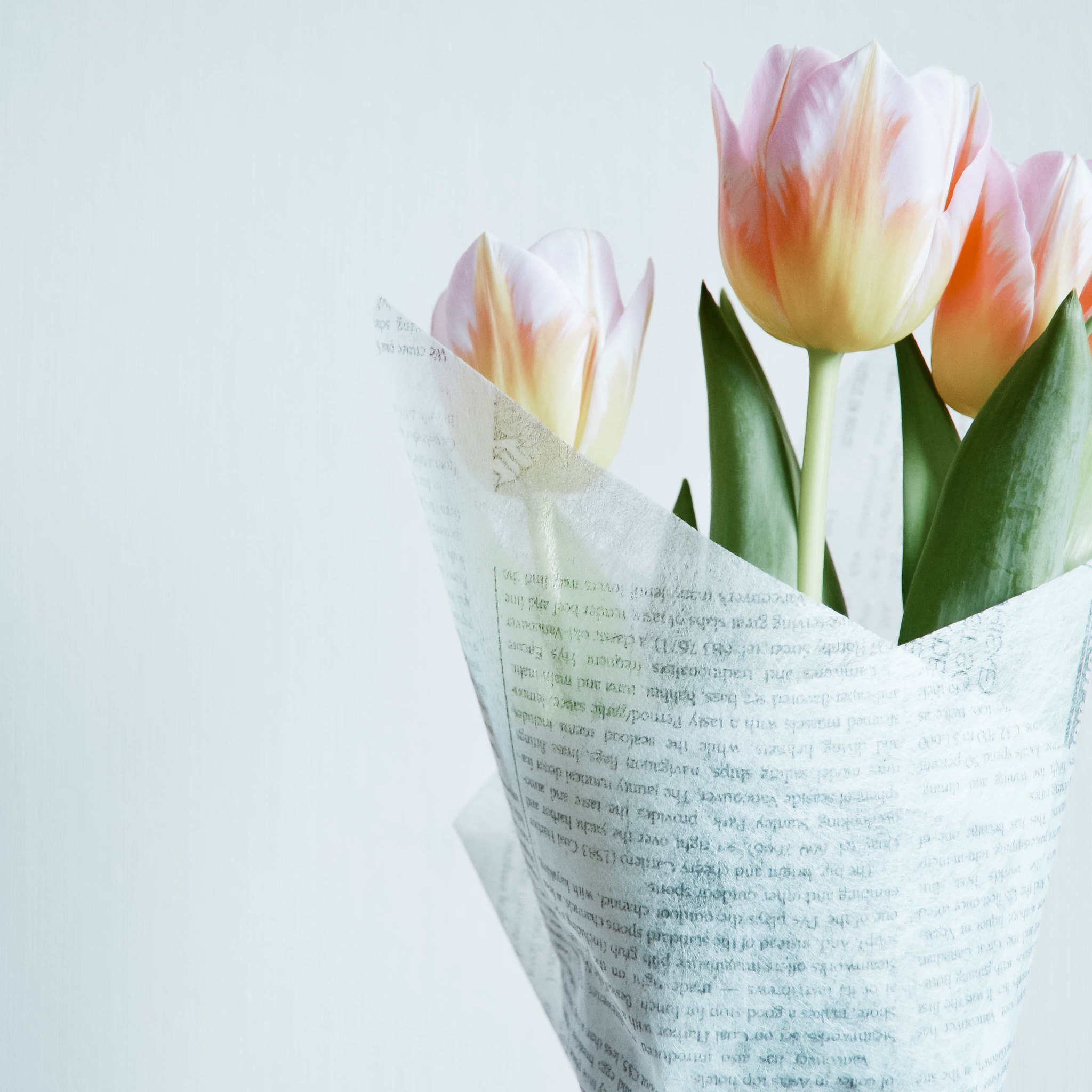 Открытка на 8 минимализм. Букет тюльпанов. Белые тюльпаны. Тюльпаны в вазе. Тюльпаны обои.