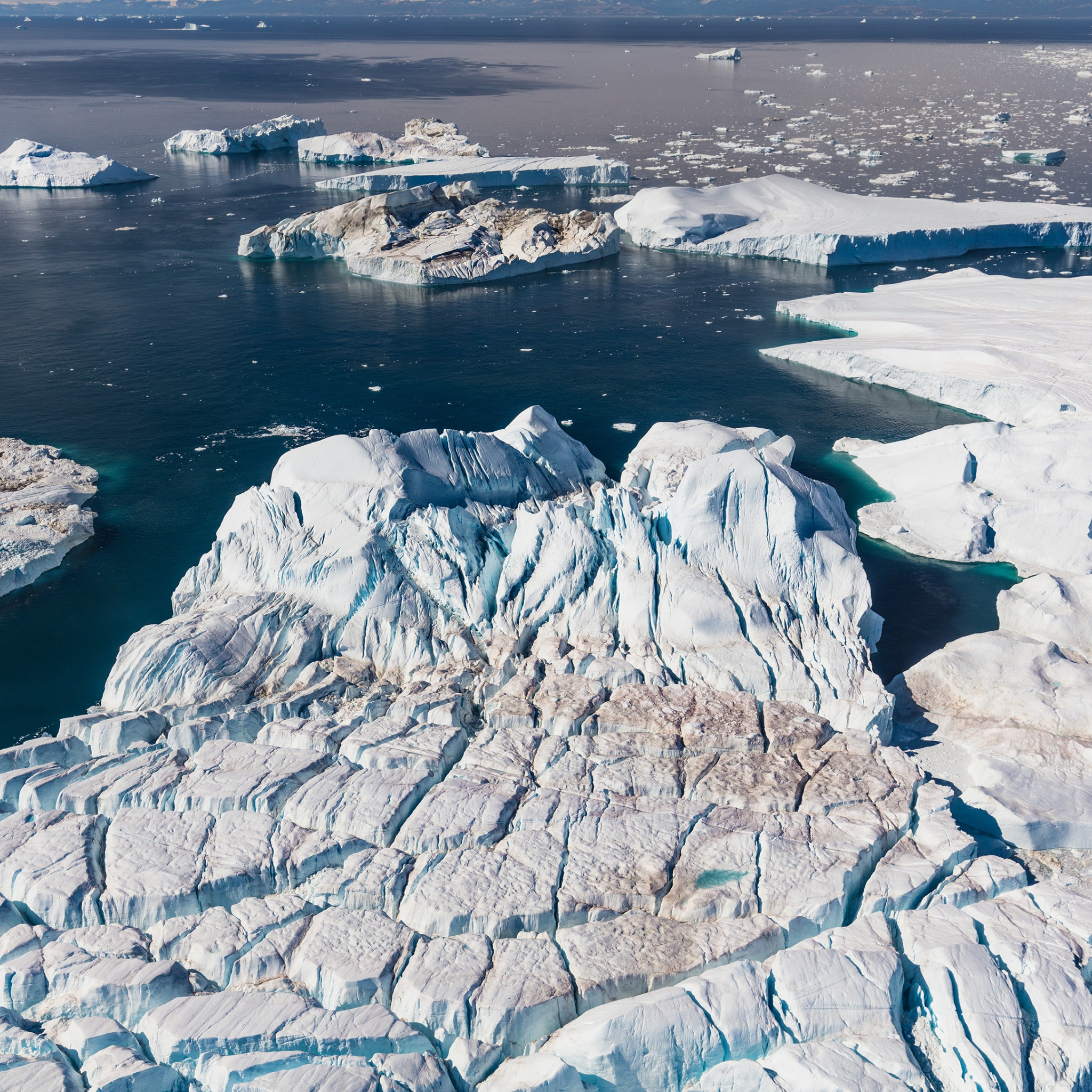 Холодный среди льдин. Норт айс Гренландия. Ледники Гренландии. Ледник Франца-Иосифа.