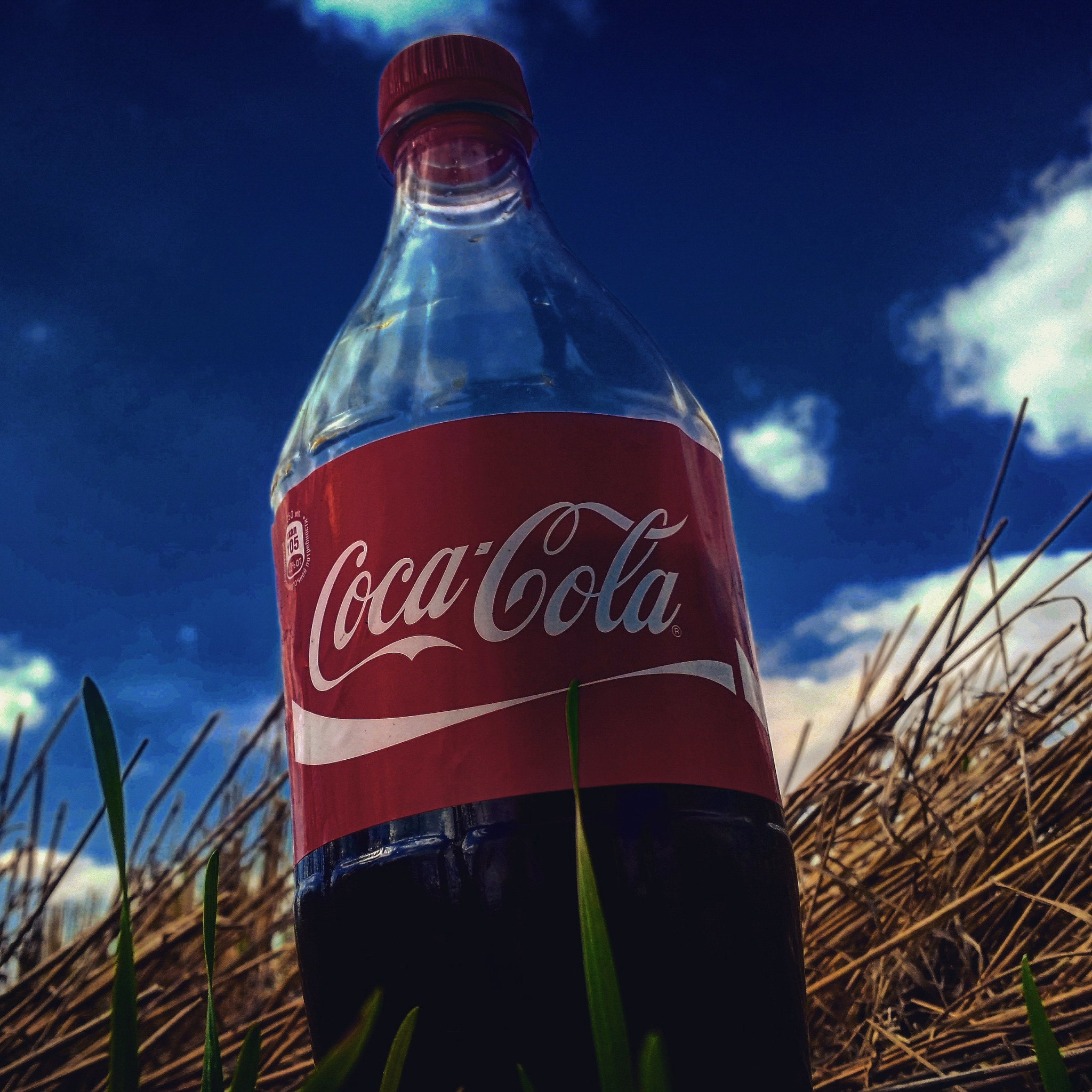 Coca cola steam фото 75