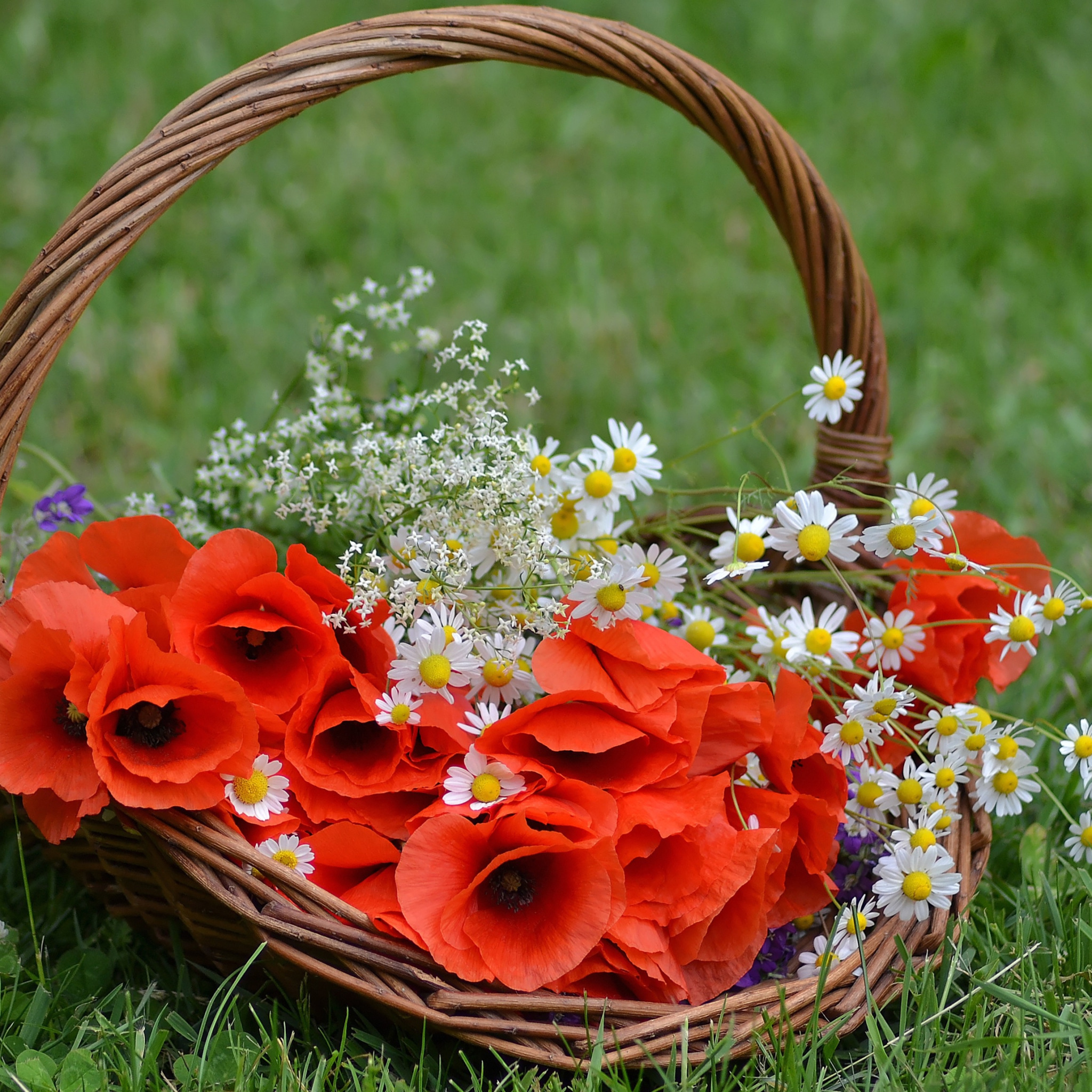 Букет цветов счастье