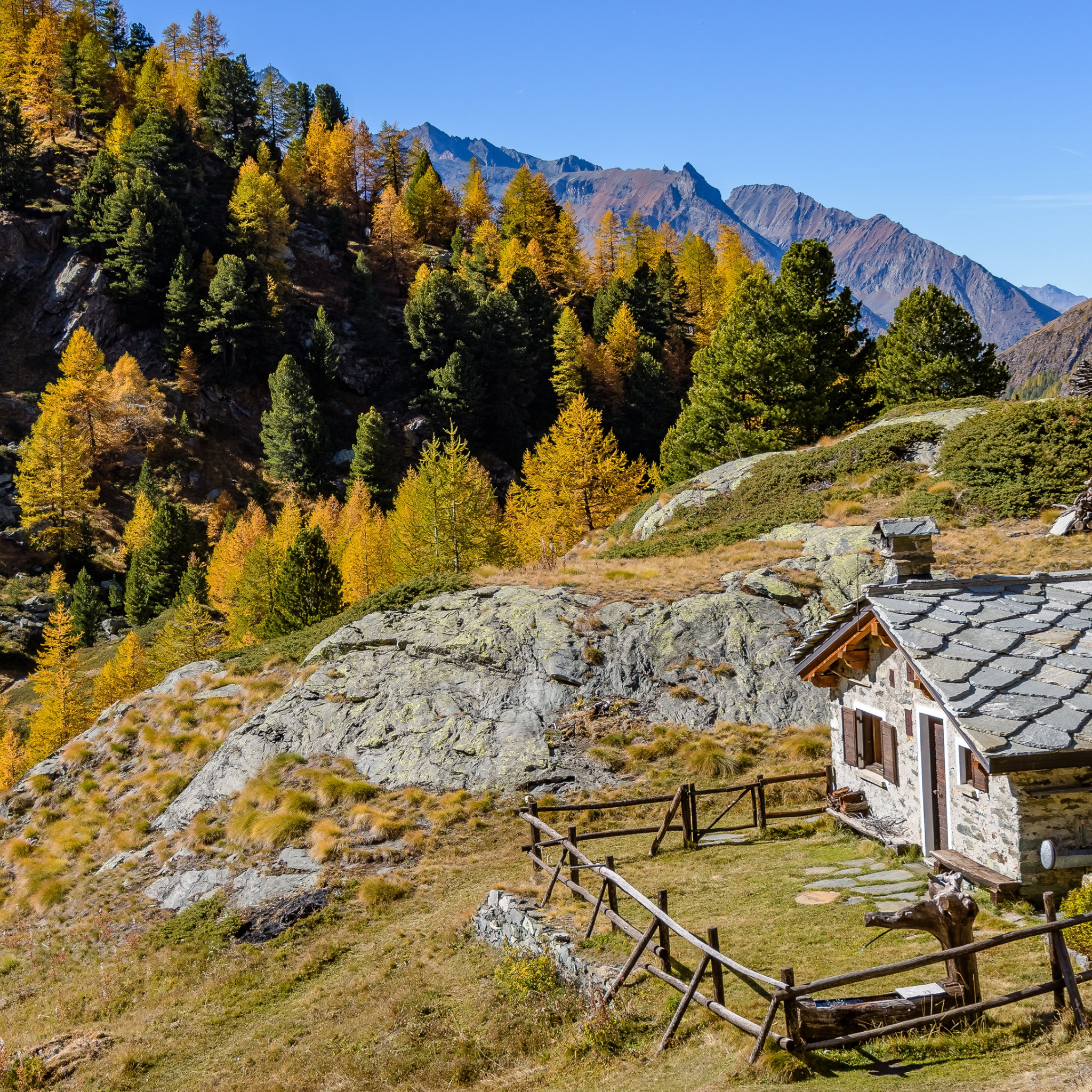 Mountain house. Дом в горах. Домик в горах. Домик в лесу в горах. Дома в горной местности.