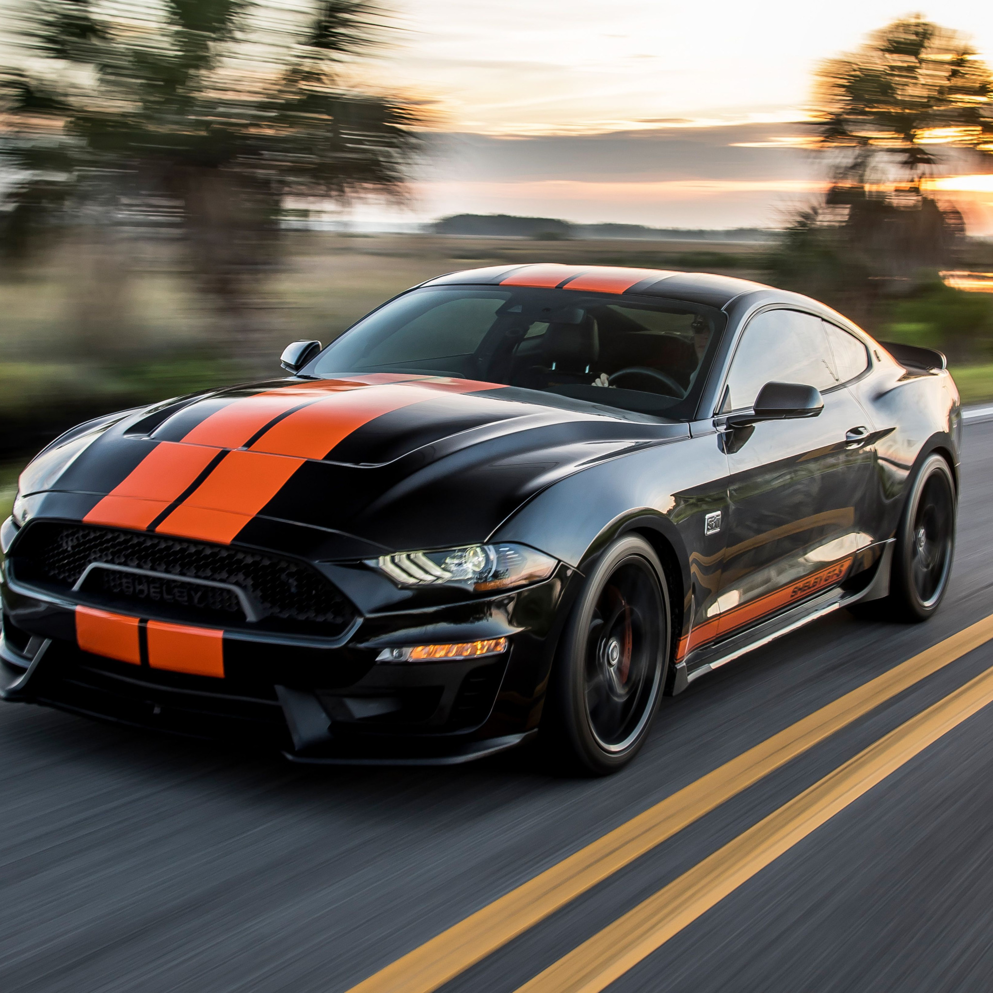 Ford Mustang Shelby 2019