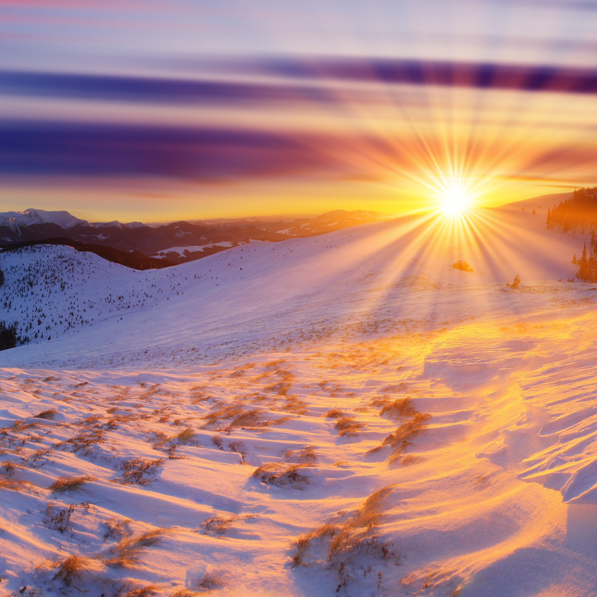 Солнце зимой. Зимний закат. Зимнее солнцестояние картинки. Снег и солнце. Солнце играет на снегу