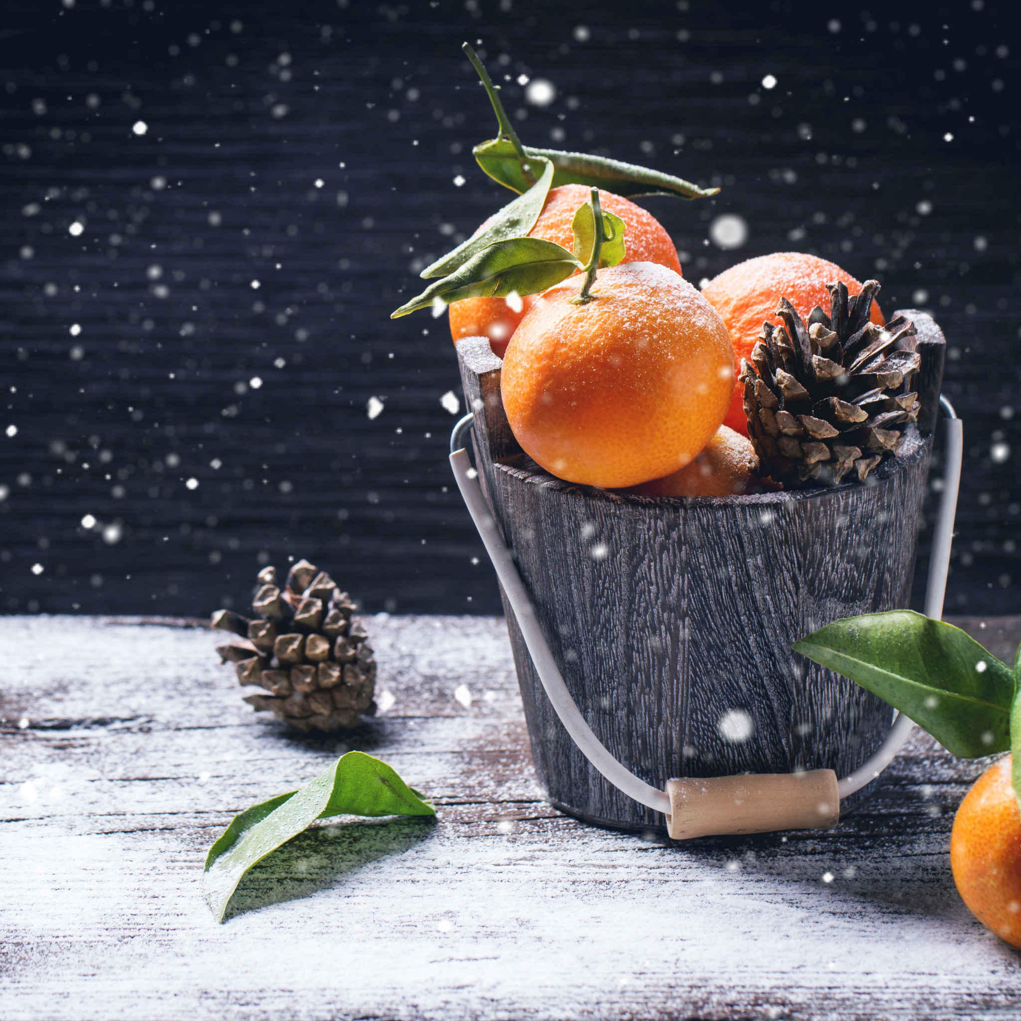 Мандарины на зиму. Зима мандарины. Мандарины новый год. Апельсины зимой. Мандарины на снегу.