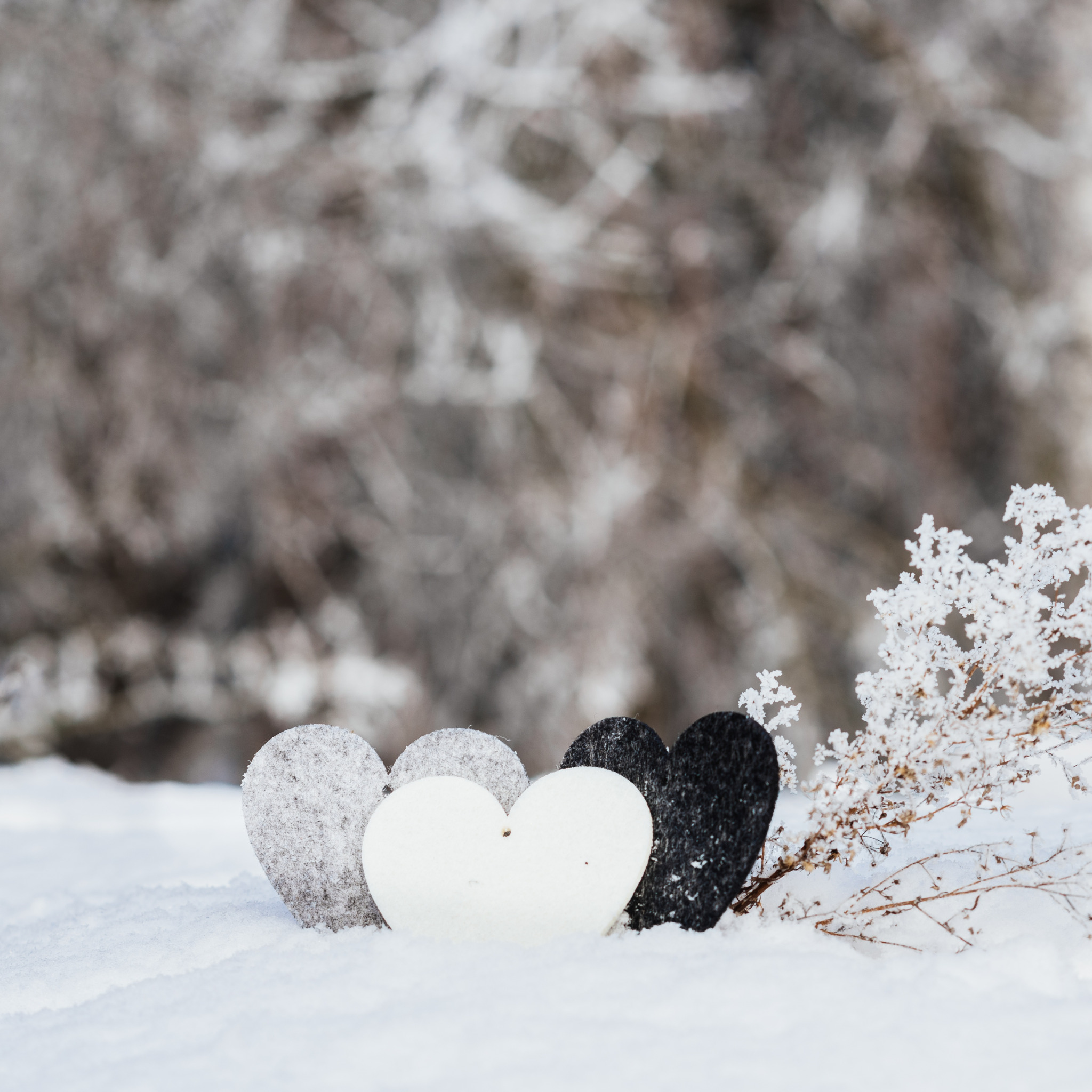 Я люблю снежку. Зимнее настроение. Зима в сердце. Зима снег. Зимняя романтика.