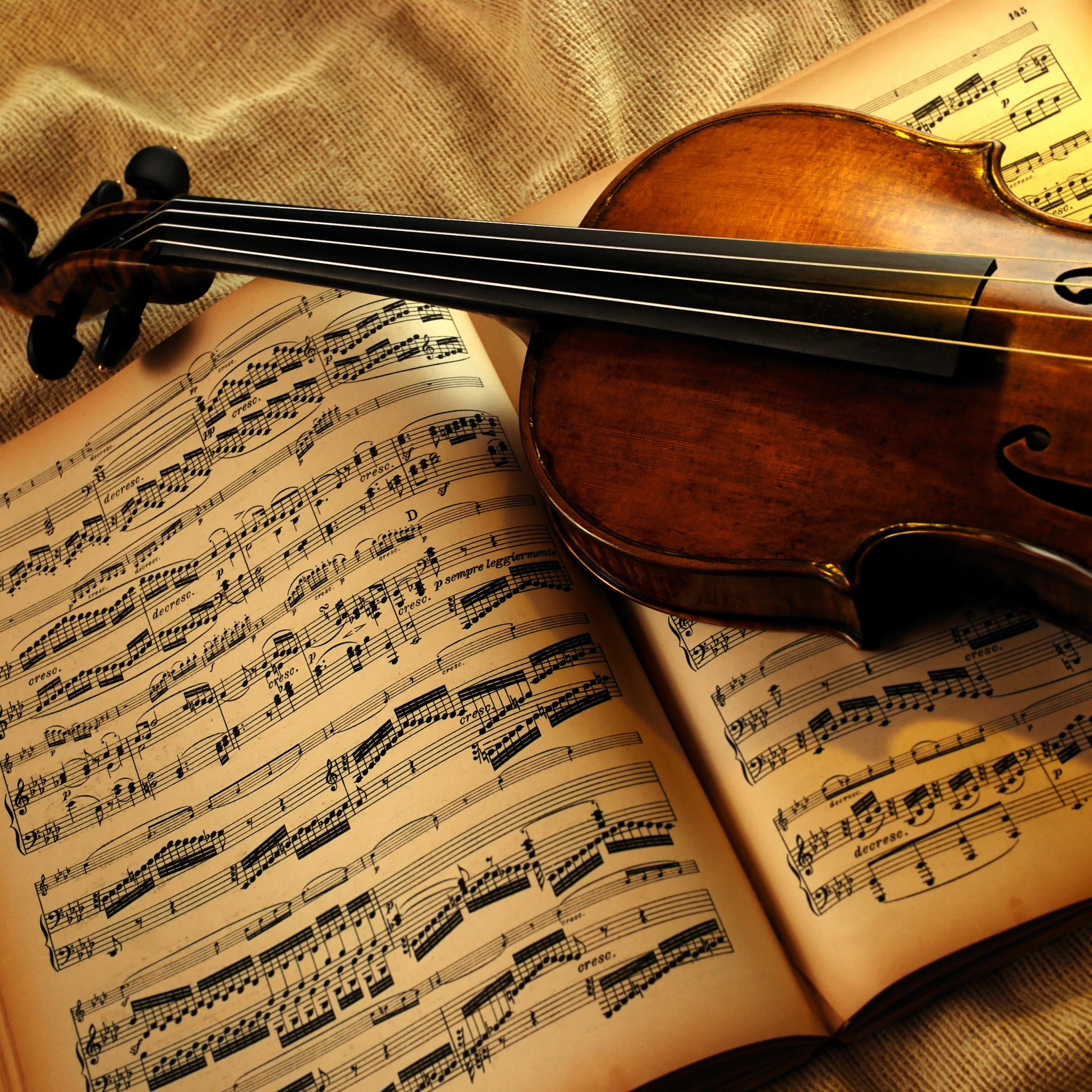 Красивая современная скрипка