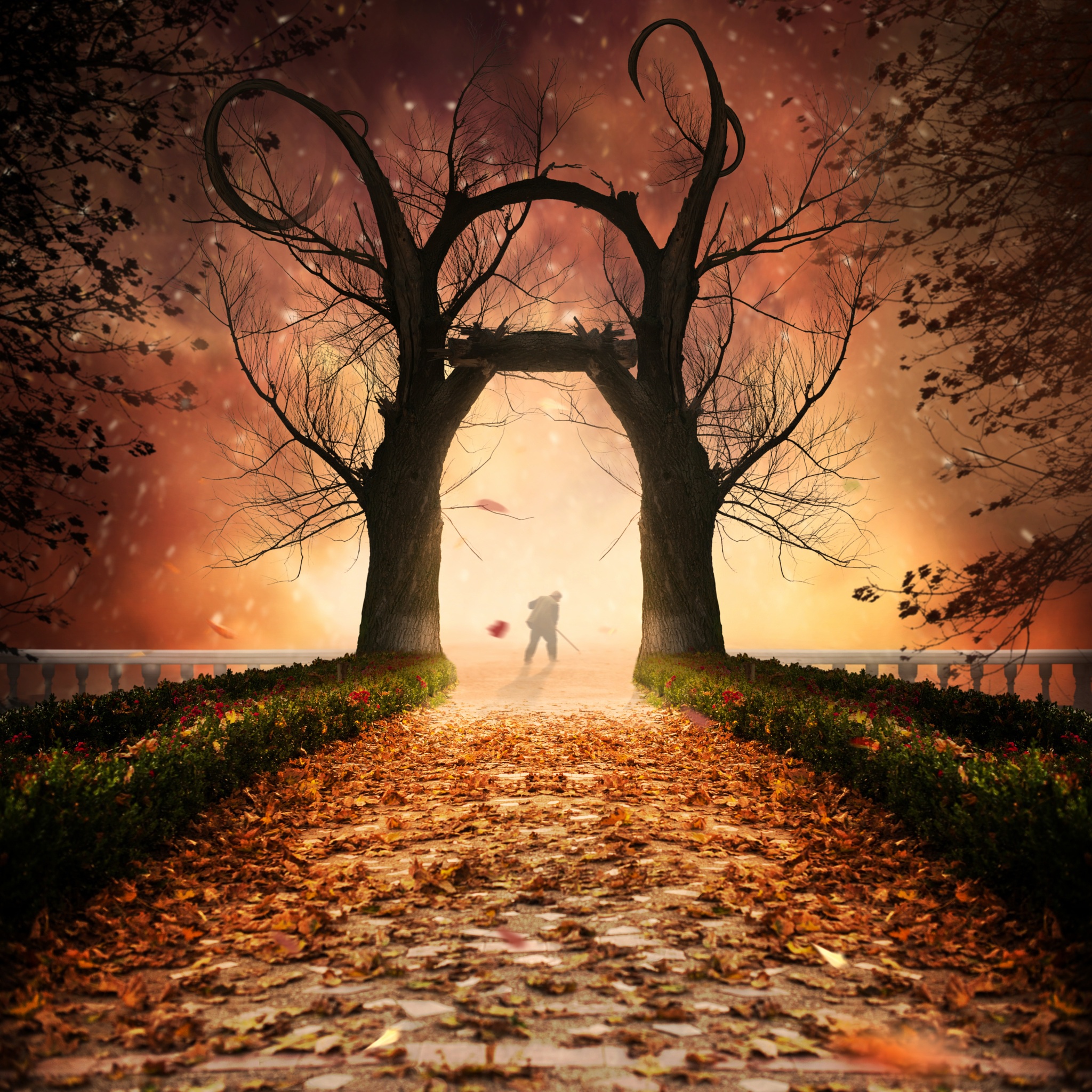 Пейзаж любви. Сказочные фотоманипуляции Караса Йонута. Дзядух Ксения. Осень сюрреализм. Осень.