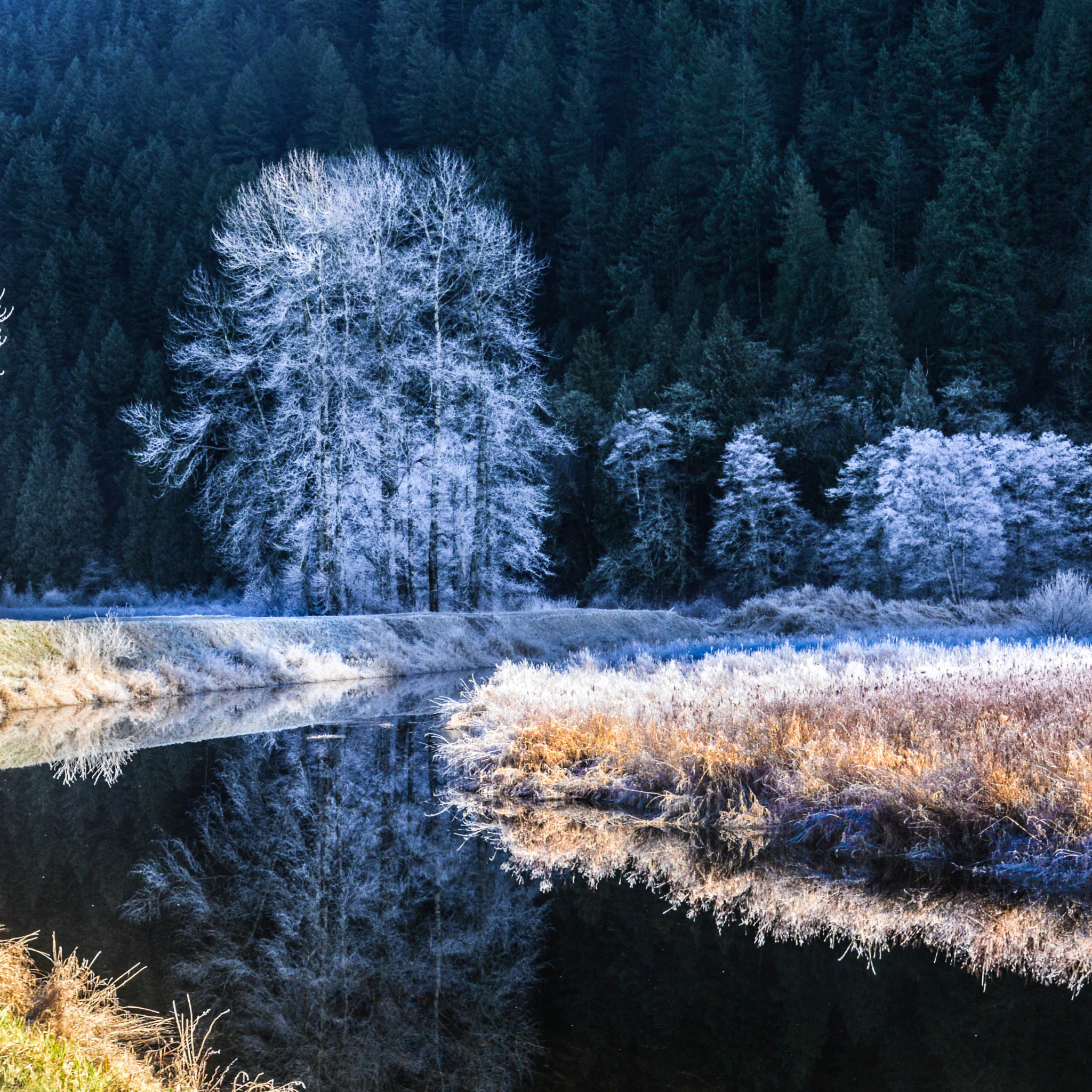 Звуки природы зимой. Зимняя природа. Зима в лесу. Зимняя река. Зимний пейзаж с рекой.