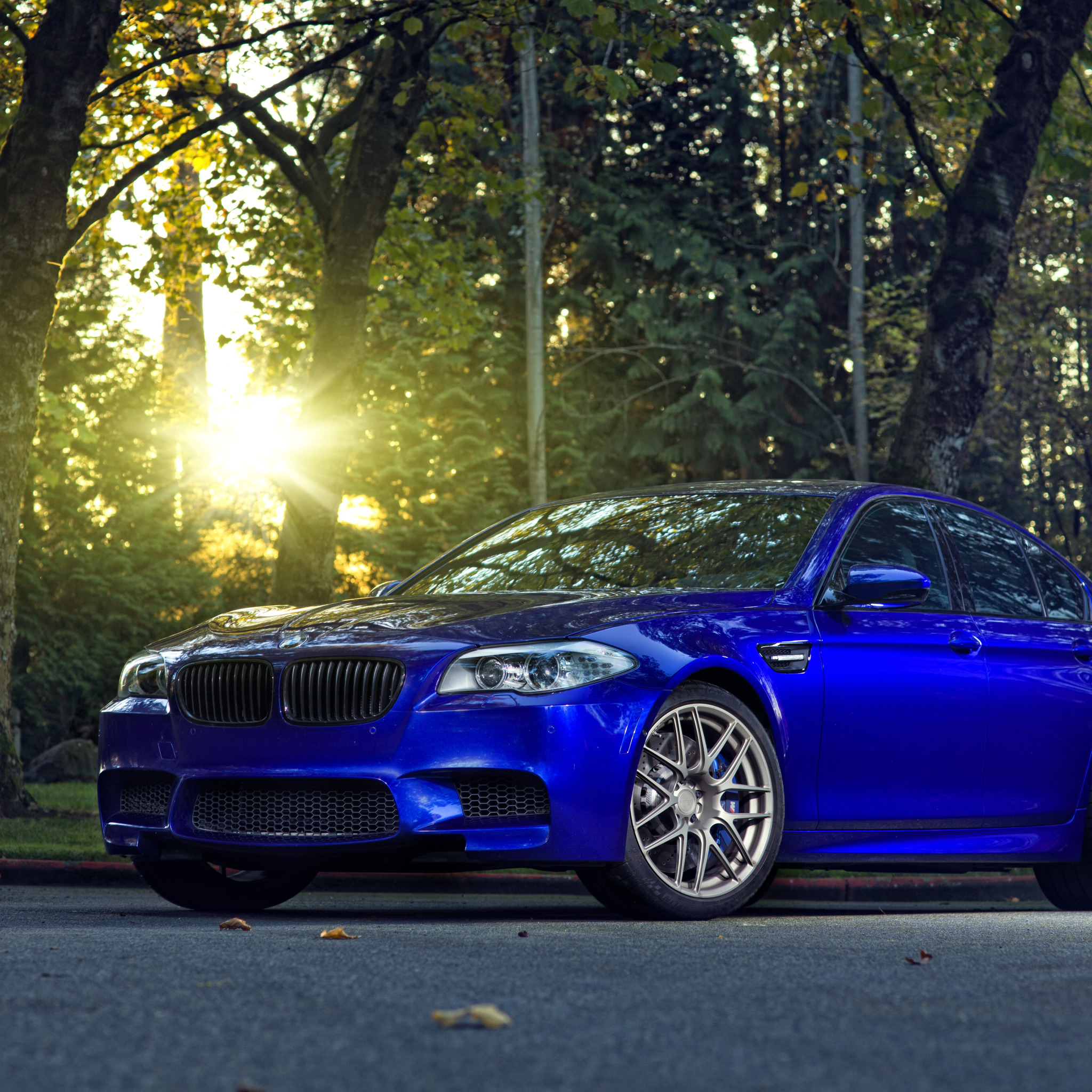 BMW m5 f10 Monte Carlo Blue