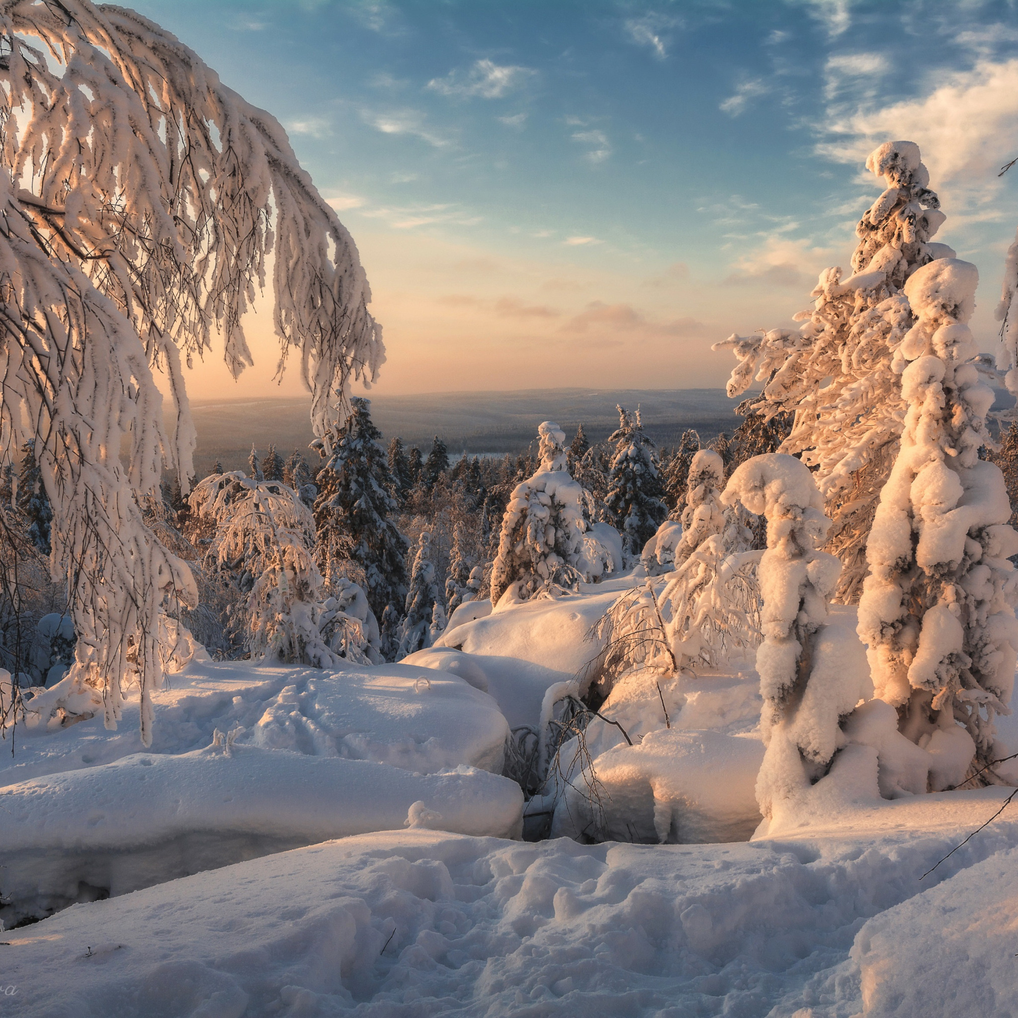 Ветлан Пермский край зимой