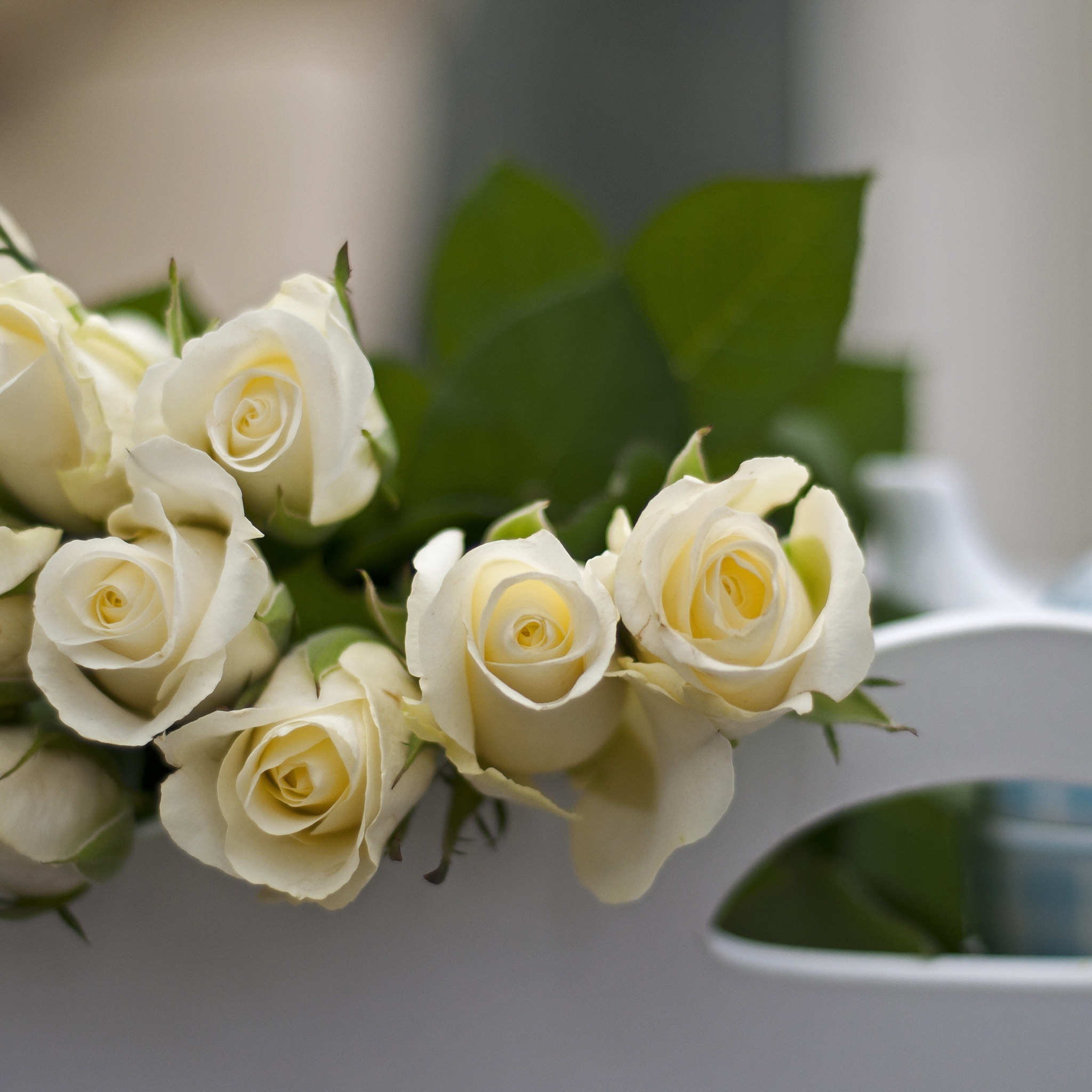 Пожелание доброго утра любимой женщине в картинках. Белые цветы. С добрым утром девушке. Пожелания с добрым утром любимой девушке. Букет белых роз на столе.