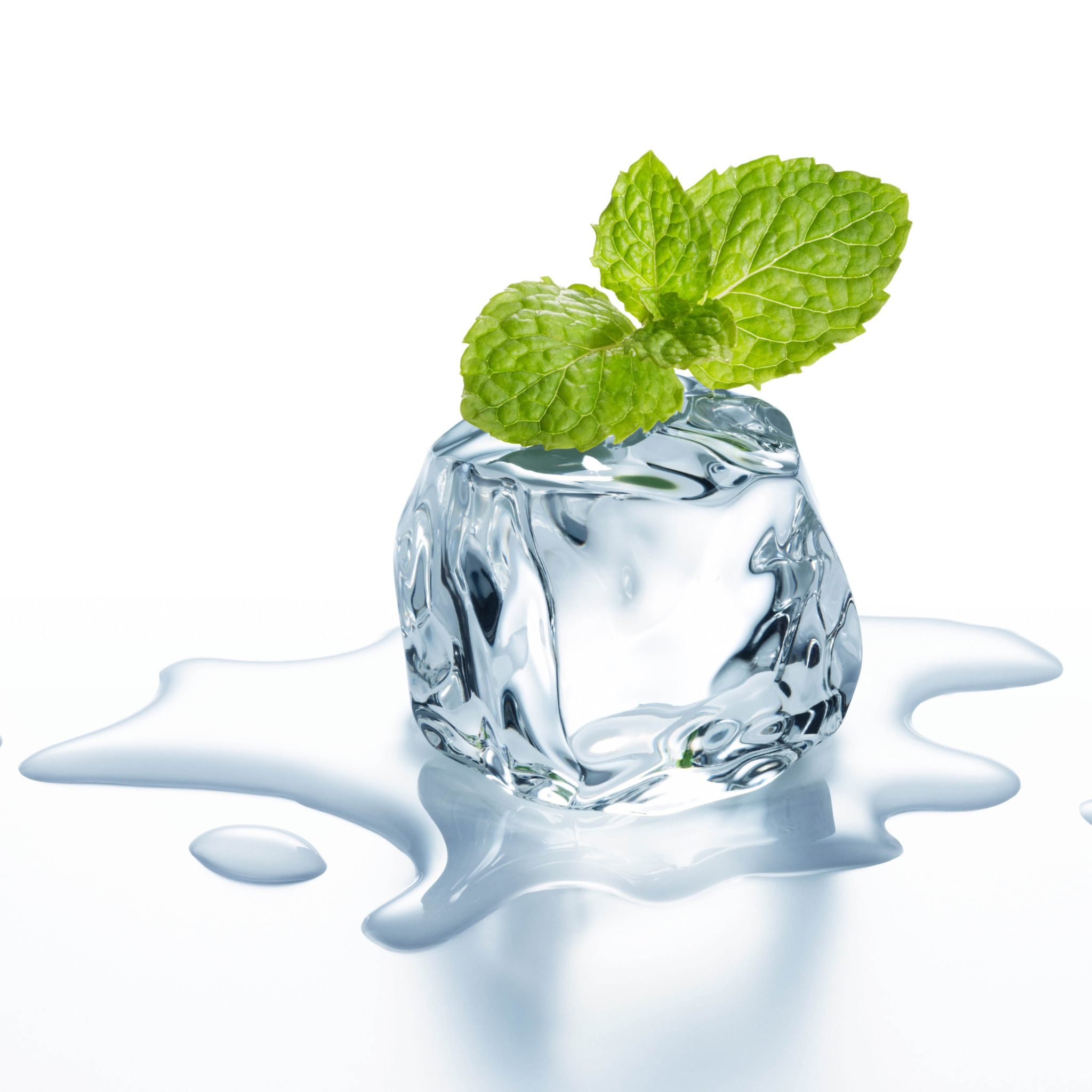 Ice mint. Кубики льда. Мята на белом фоне. Кубики льда на белом фоне. Кубики льда с мятой.