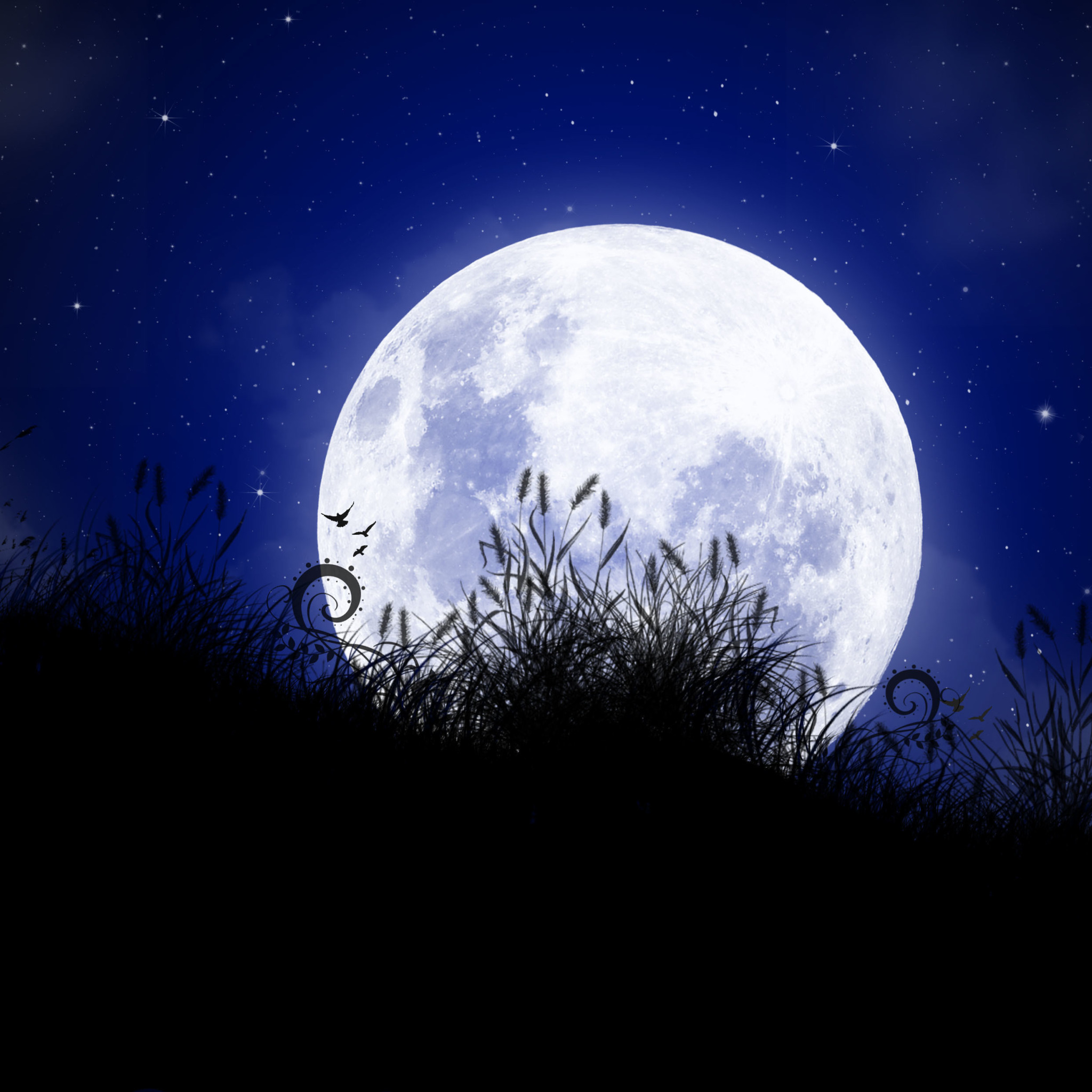 Луна. Ночное поле с луной. Луна обои. Ночь Луна.