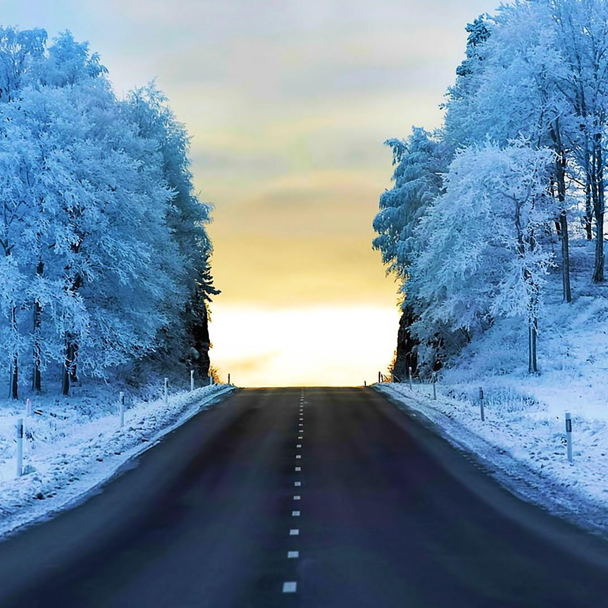 Тема зимней дороги. Зимняя дорога. Дорога зимой. Зима пейзаж. Заснеженная дорога.