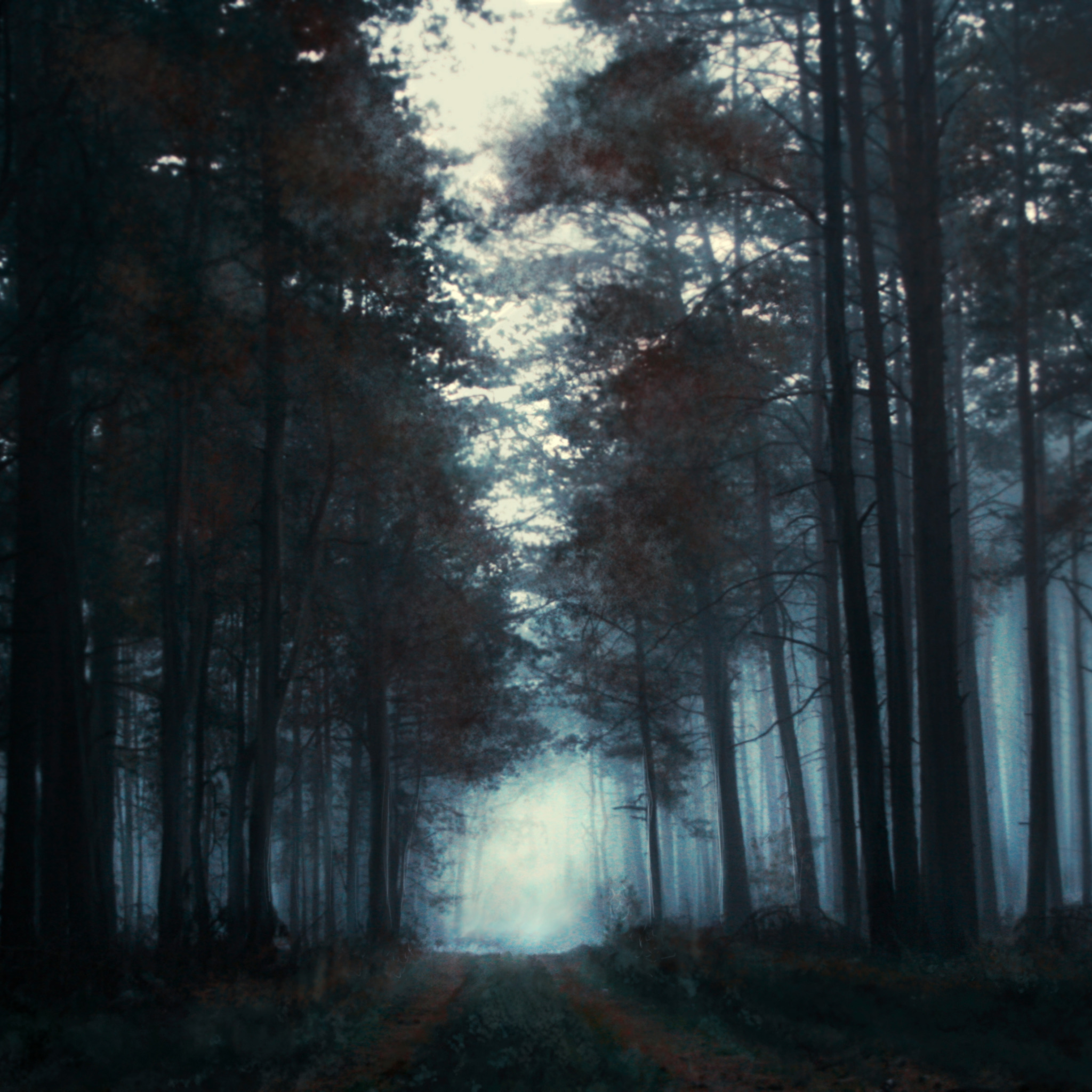 Туман хоррор. Твин пикс лес. Ночной лес. Мрачный лес. Темный лес.