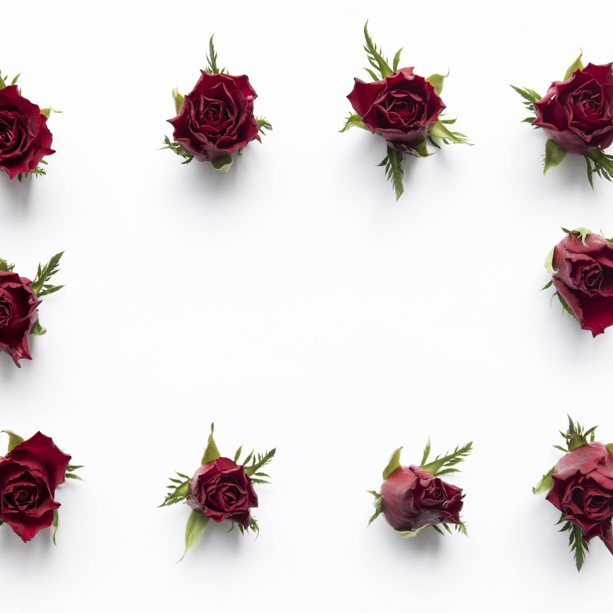 Цветы сверху. Бутон розы для фотошопа. Розы фотошоп коричневые бутоны. Красный бутон цветка вид сверху 3d rendering.