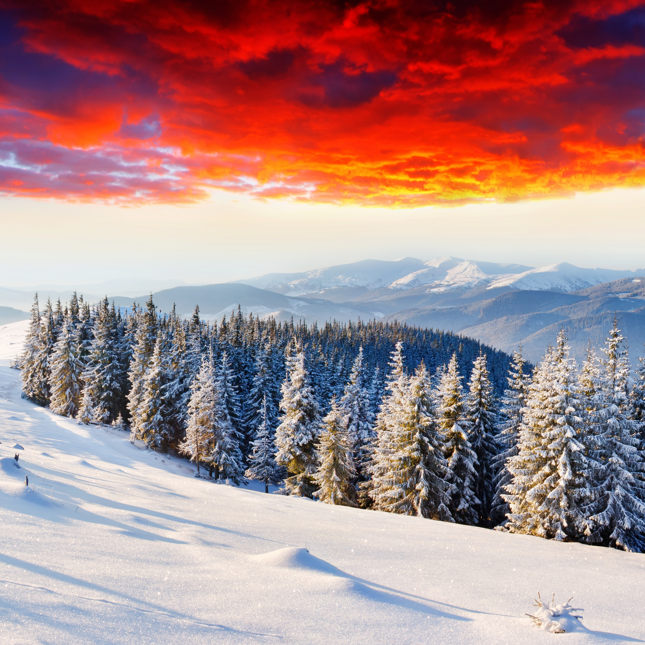 красивые пейзажи зимы в горах