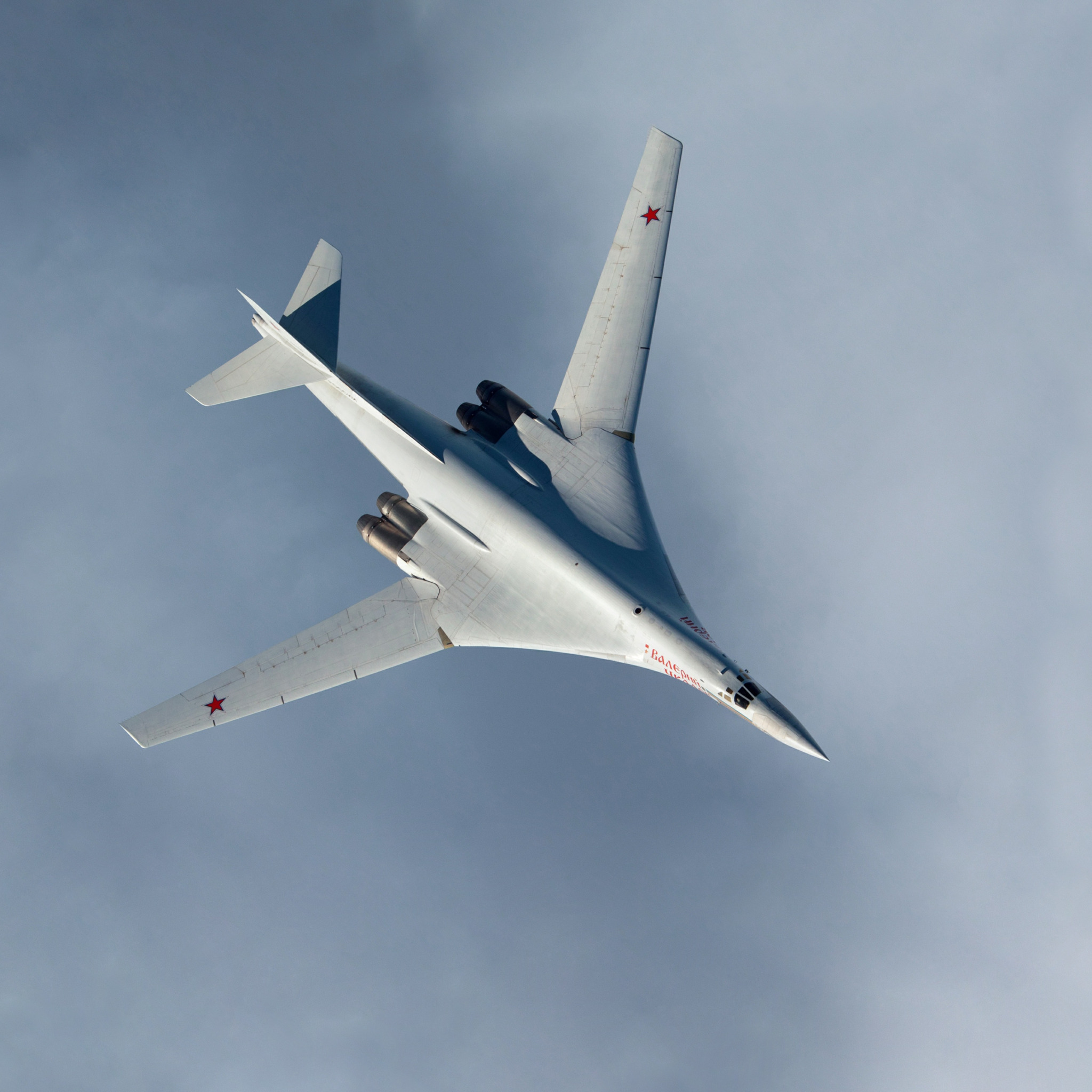 Захаров белый лебедь. Ту-160 белый лебедь. Лебедь самолет ту 160. Стратегический бомбардировщик белый лебедь. Истребитель ту 160 белый лебедь.