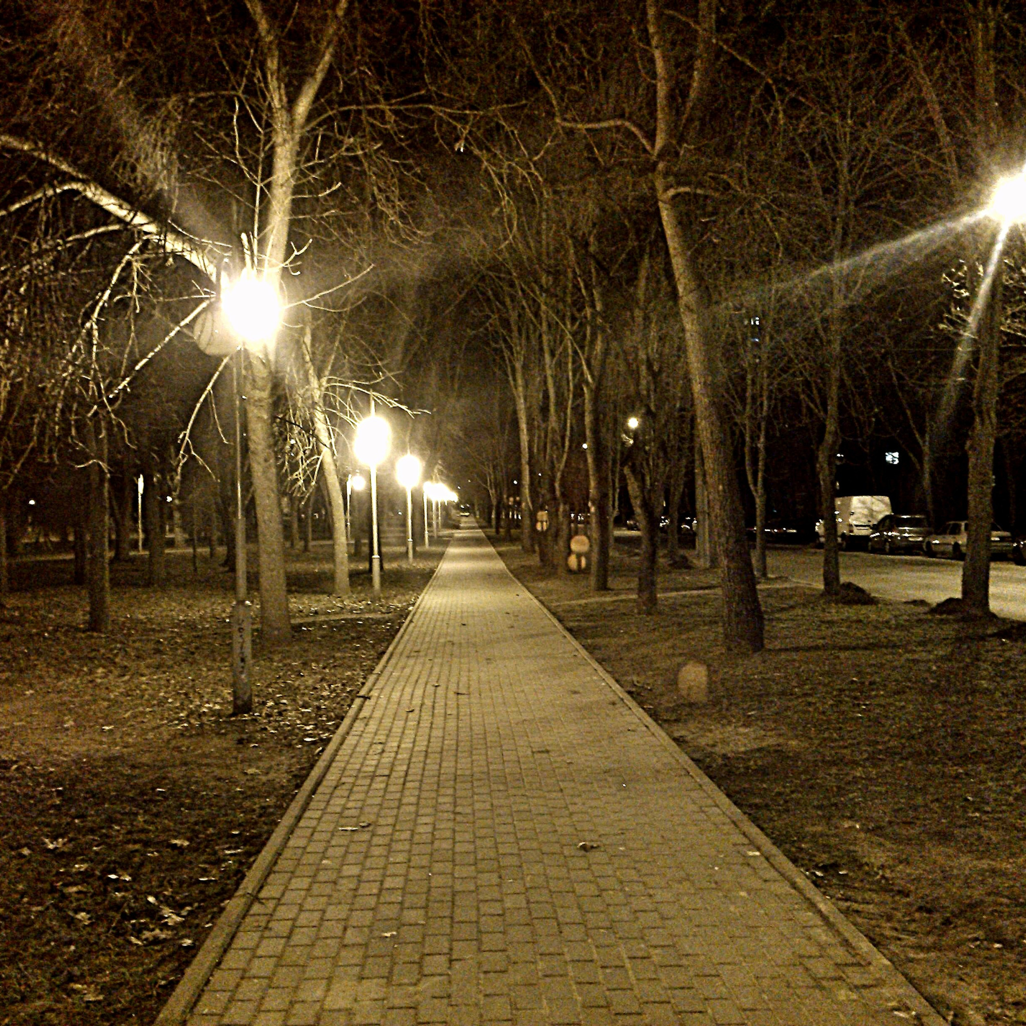 Гулять поздно вечером. Аллея с фонарями. Ночная улица. Ночная улица в парке. Темно на улице.